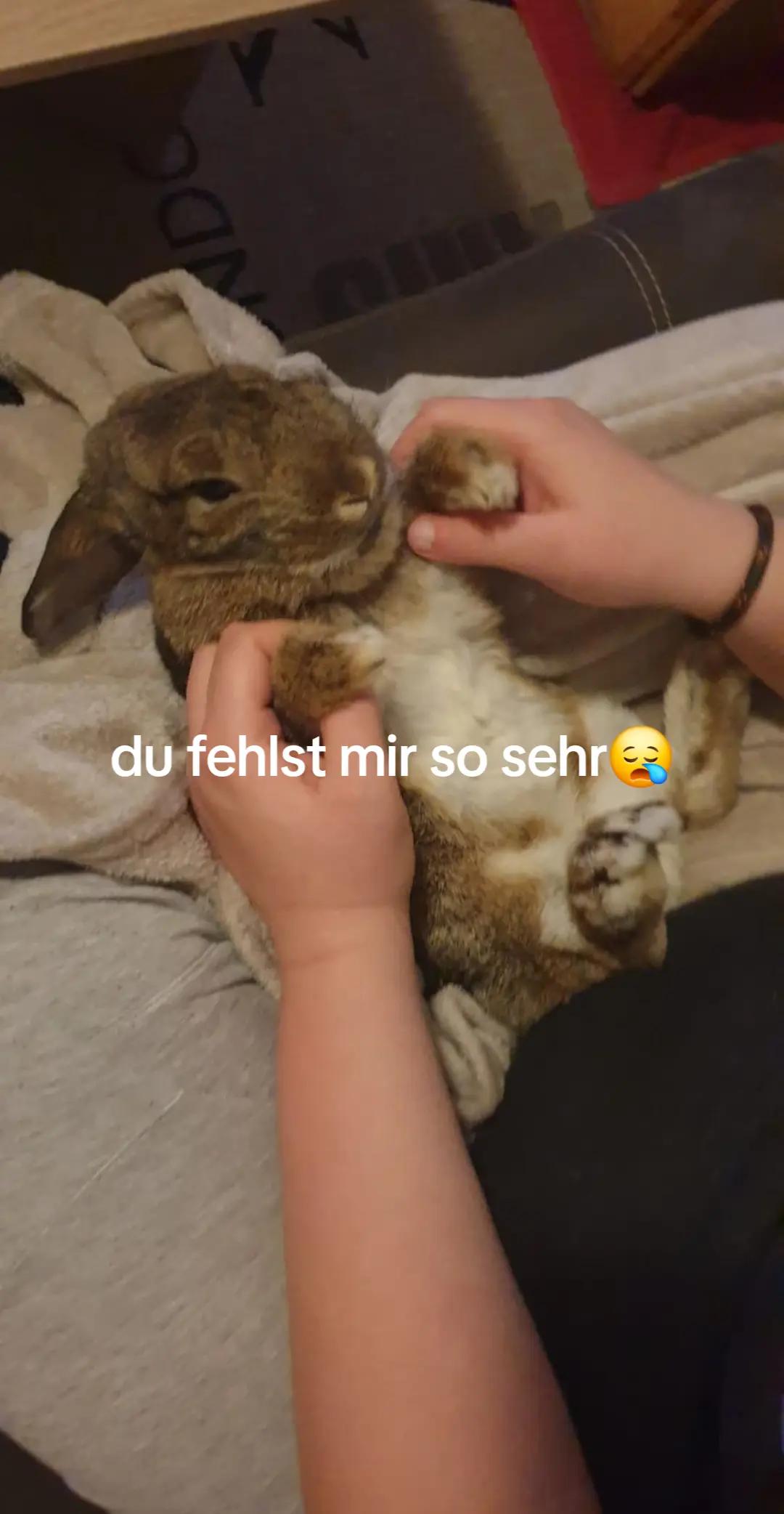 @❤️Sabrina❤️