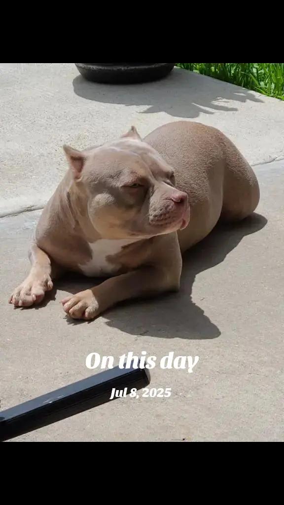 @JOY