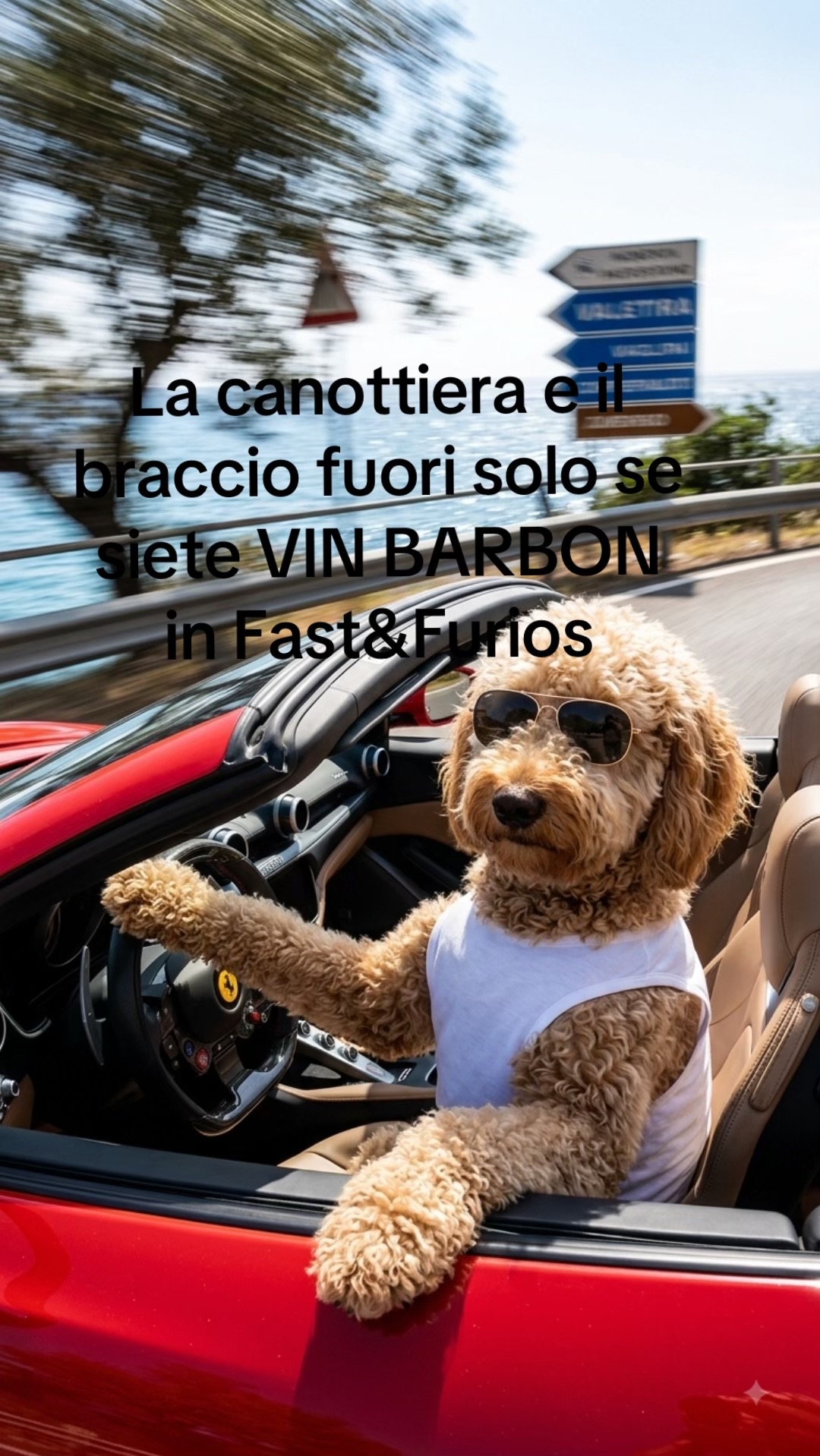 @Federica