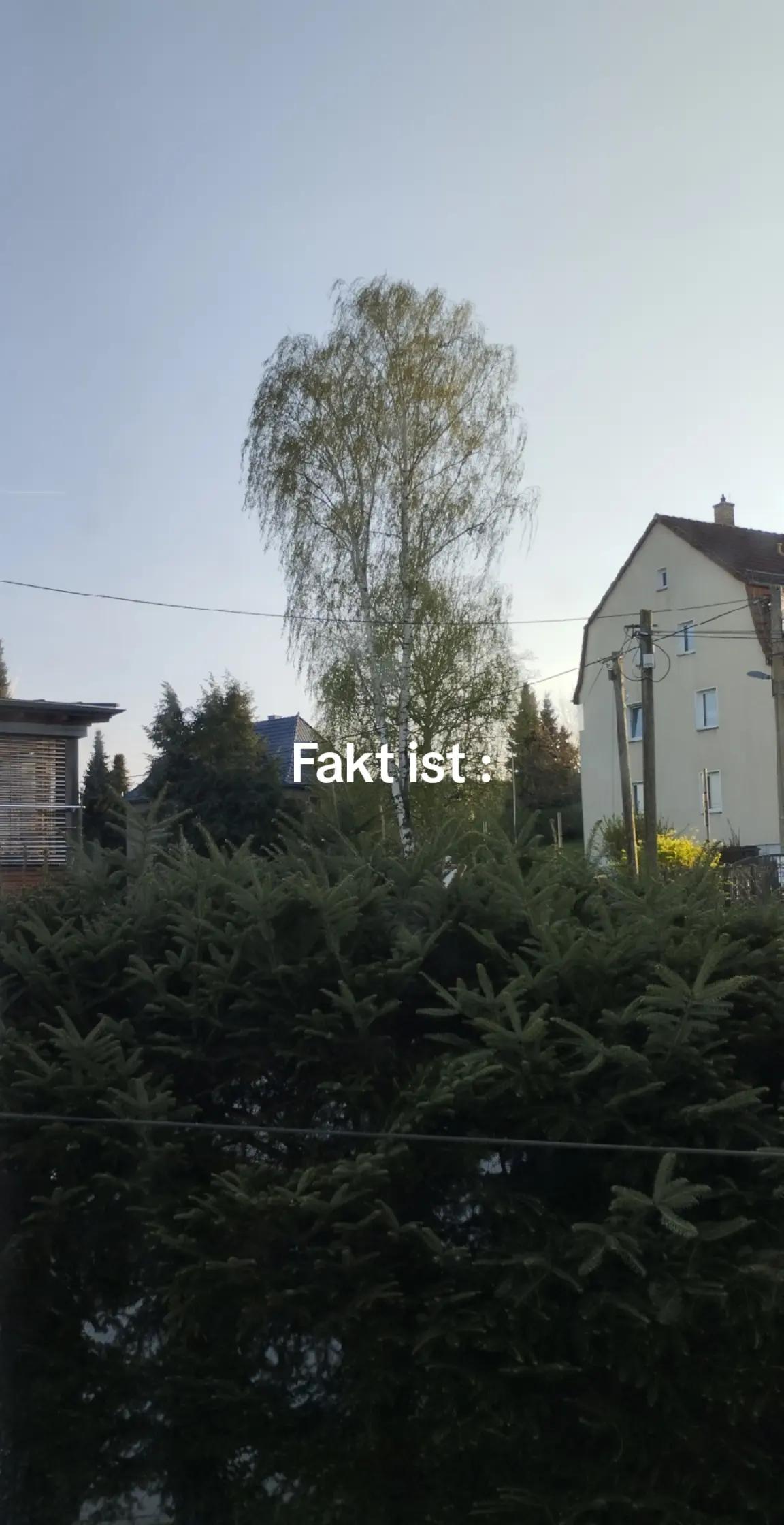 @Egon Kowalski