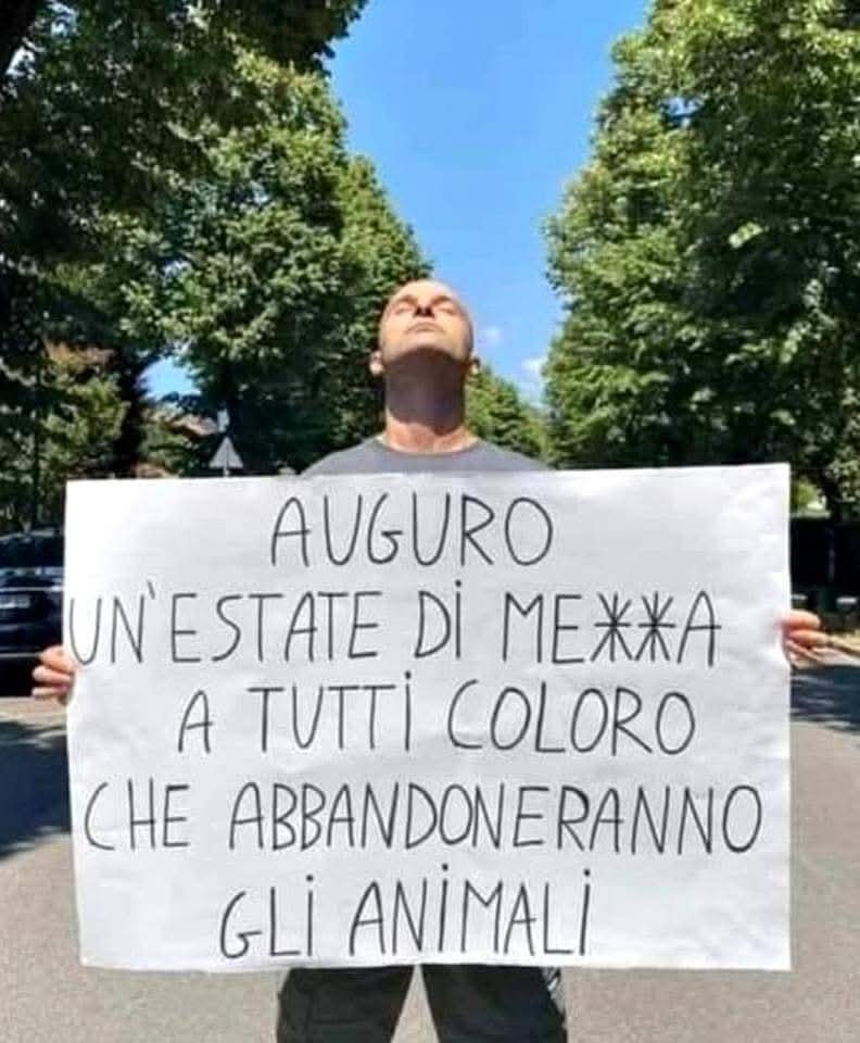 @Rita Mastroianni 2
