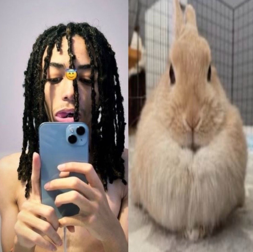 @topfloorboss