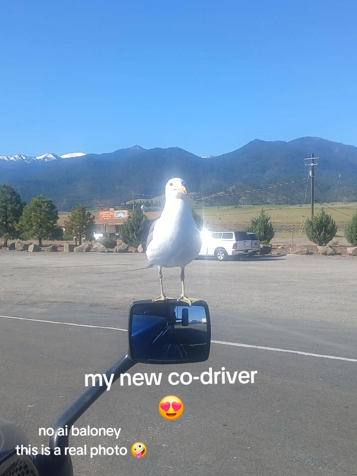 @trucker John