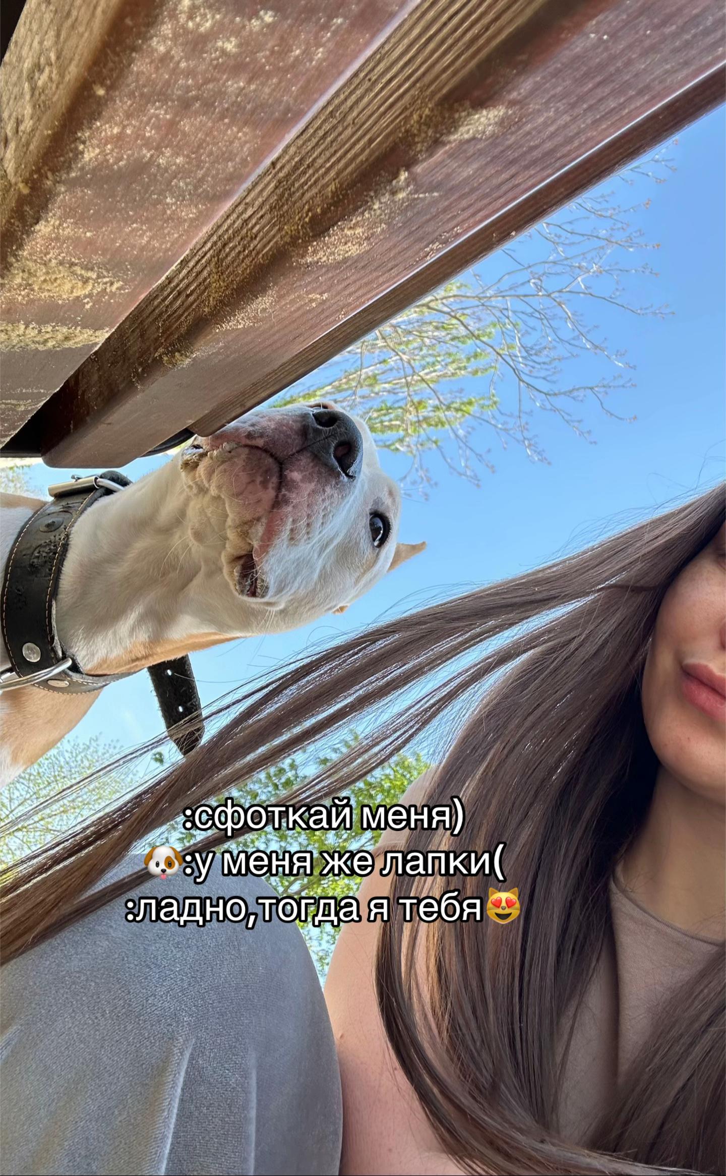 @🦋ТГК:PitoStaff_Milfa🦋