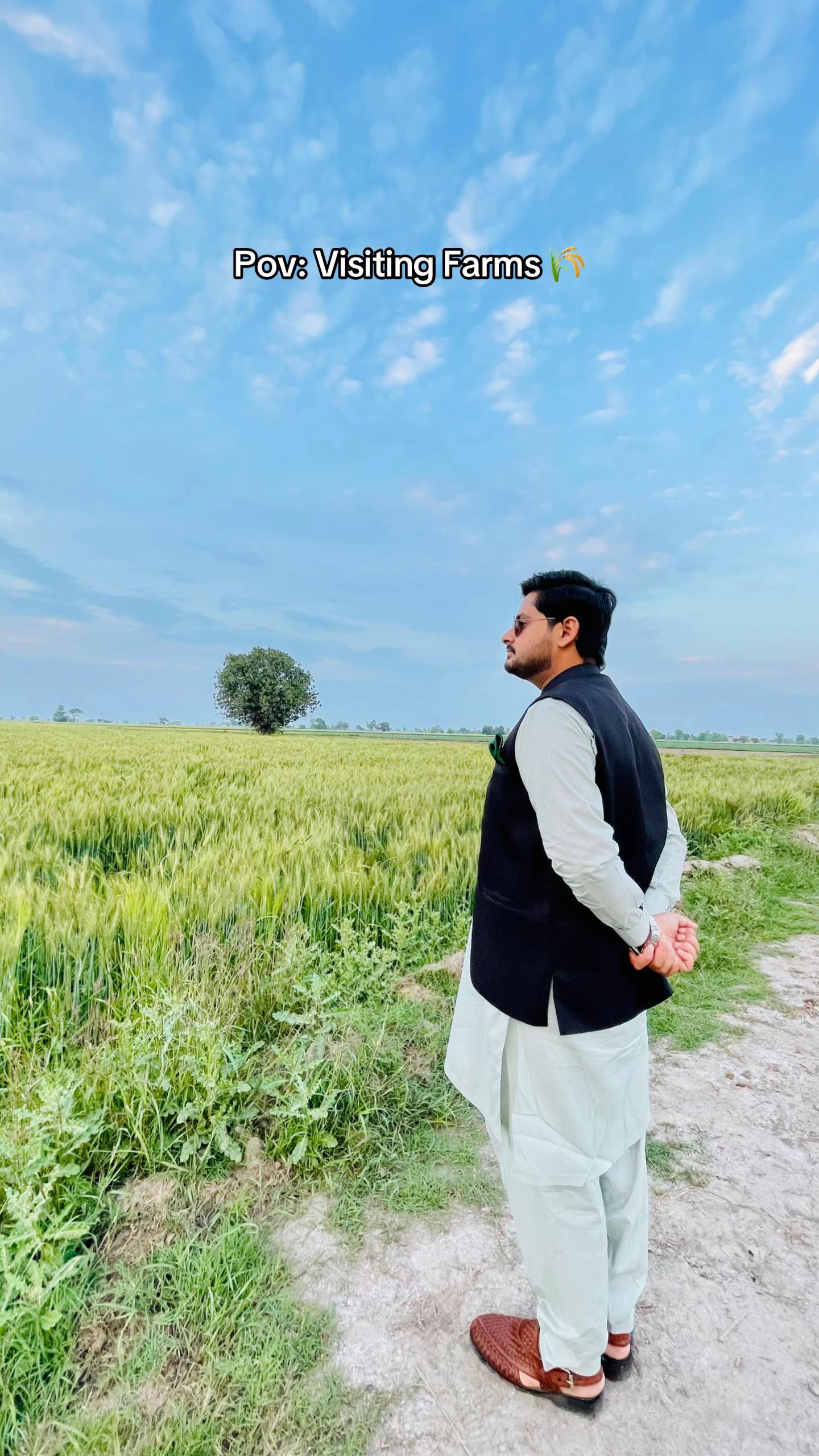 @AliHa1der