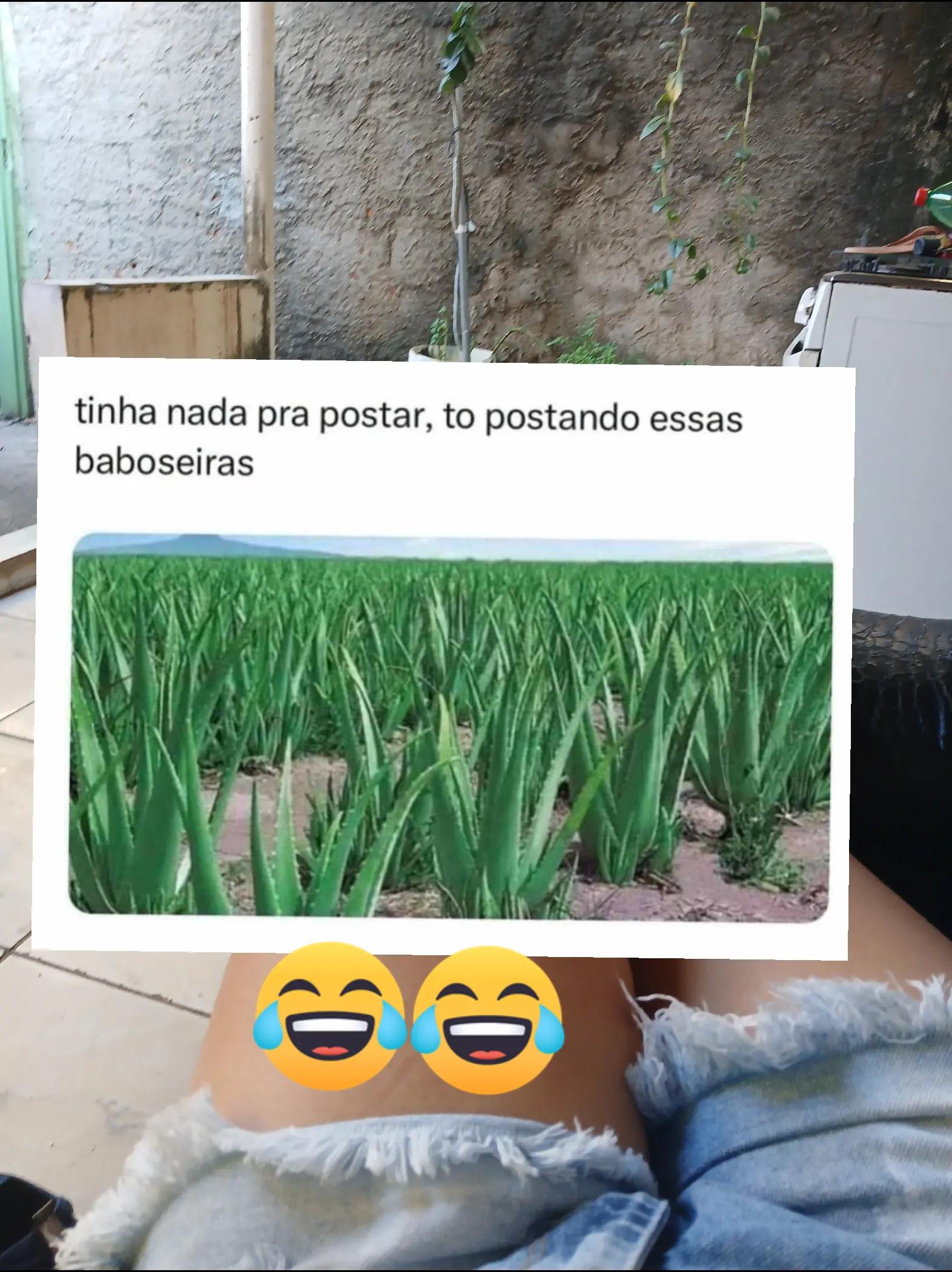 @humor da Célia 🤣