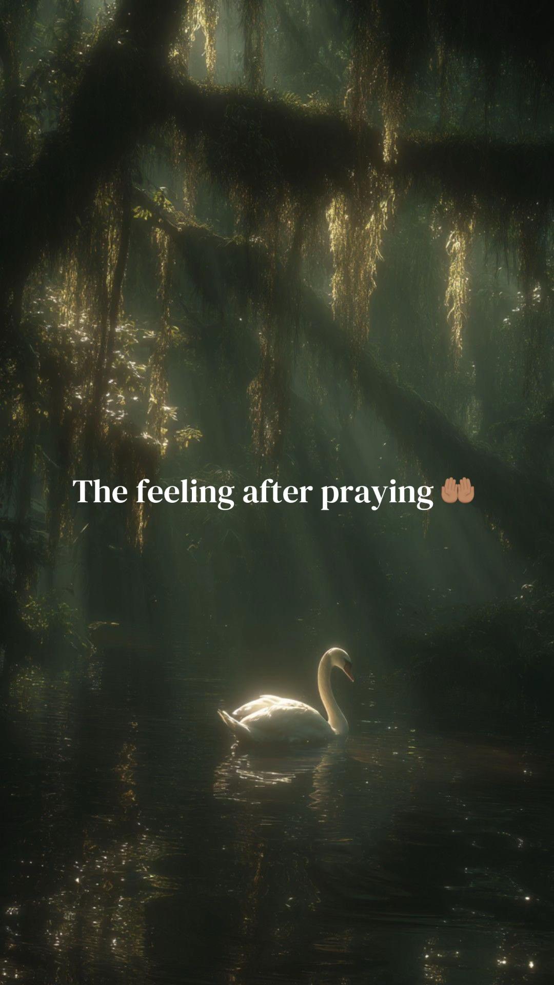 @islam 🕋