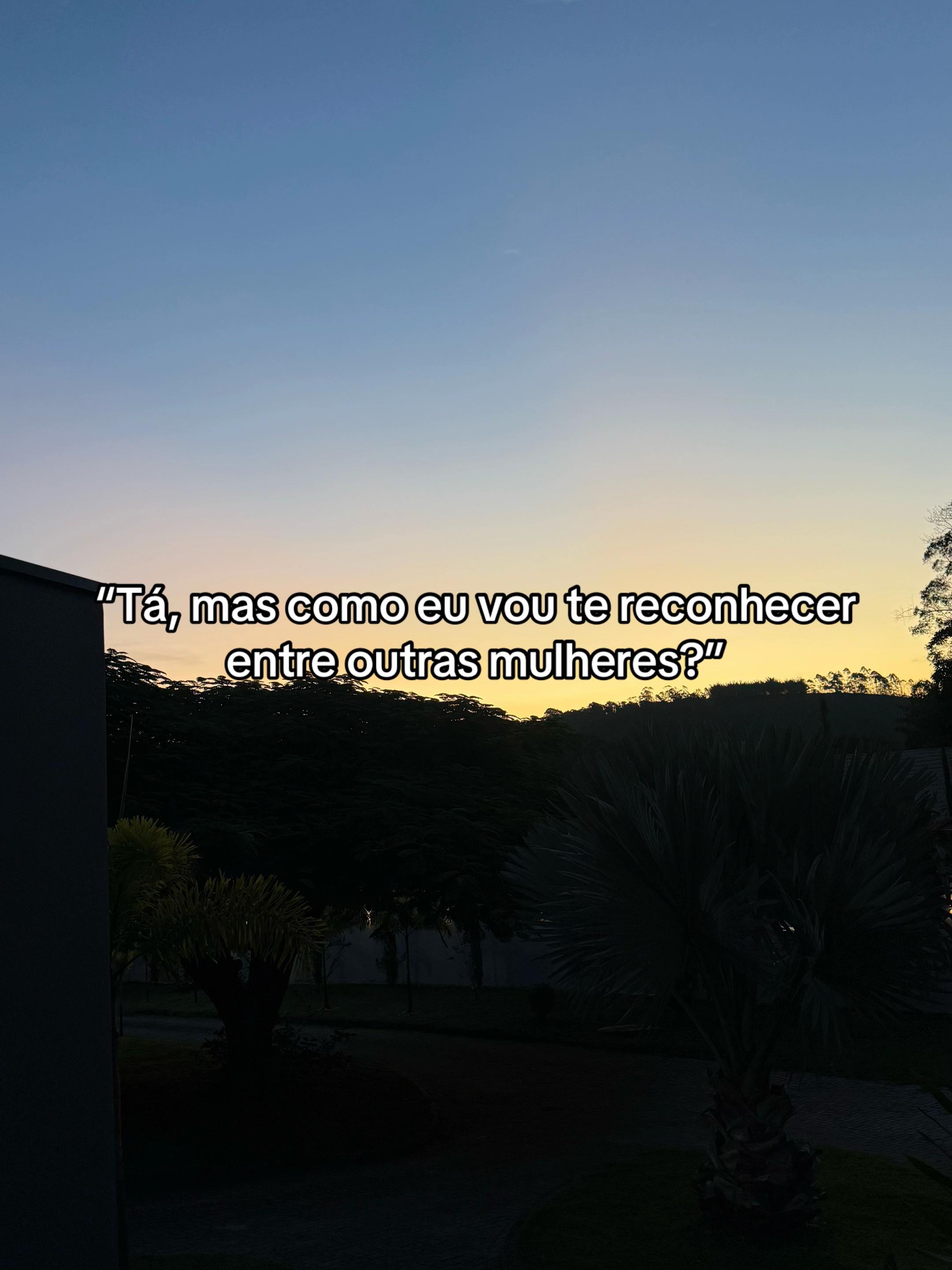 @laravidalofc