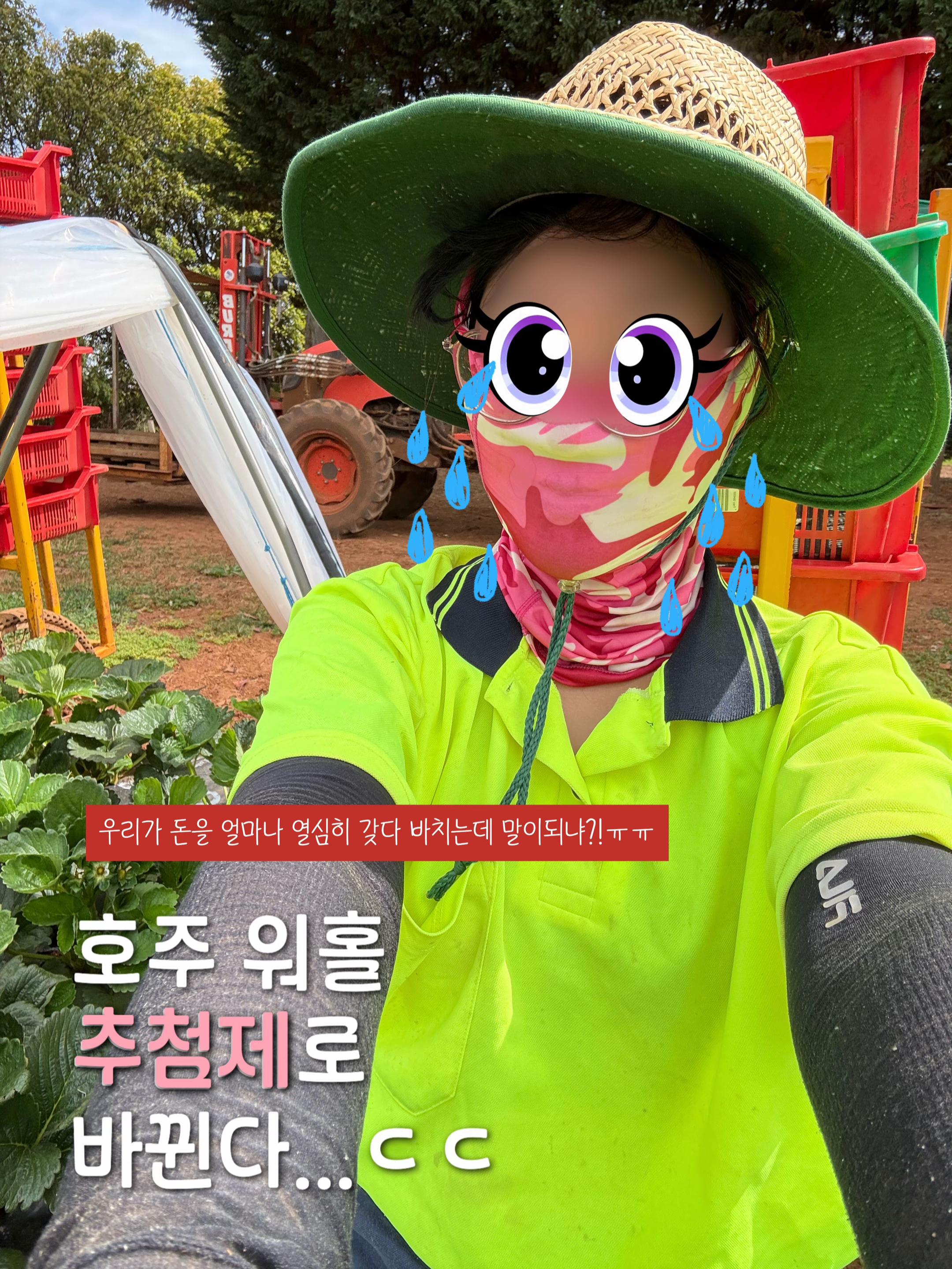 @이판판 Liupanpan