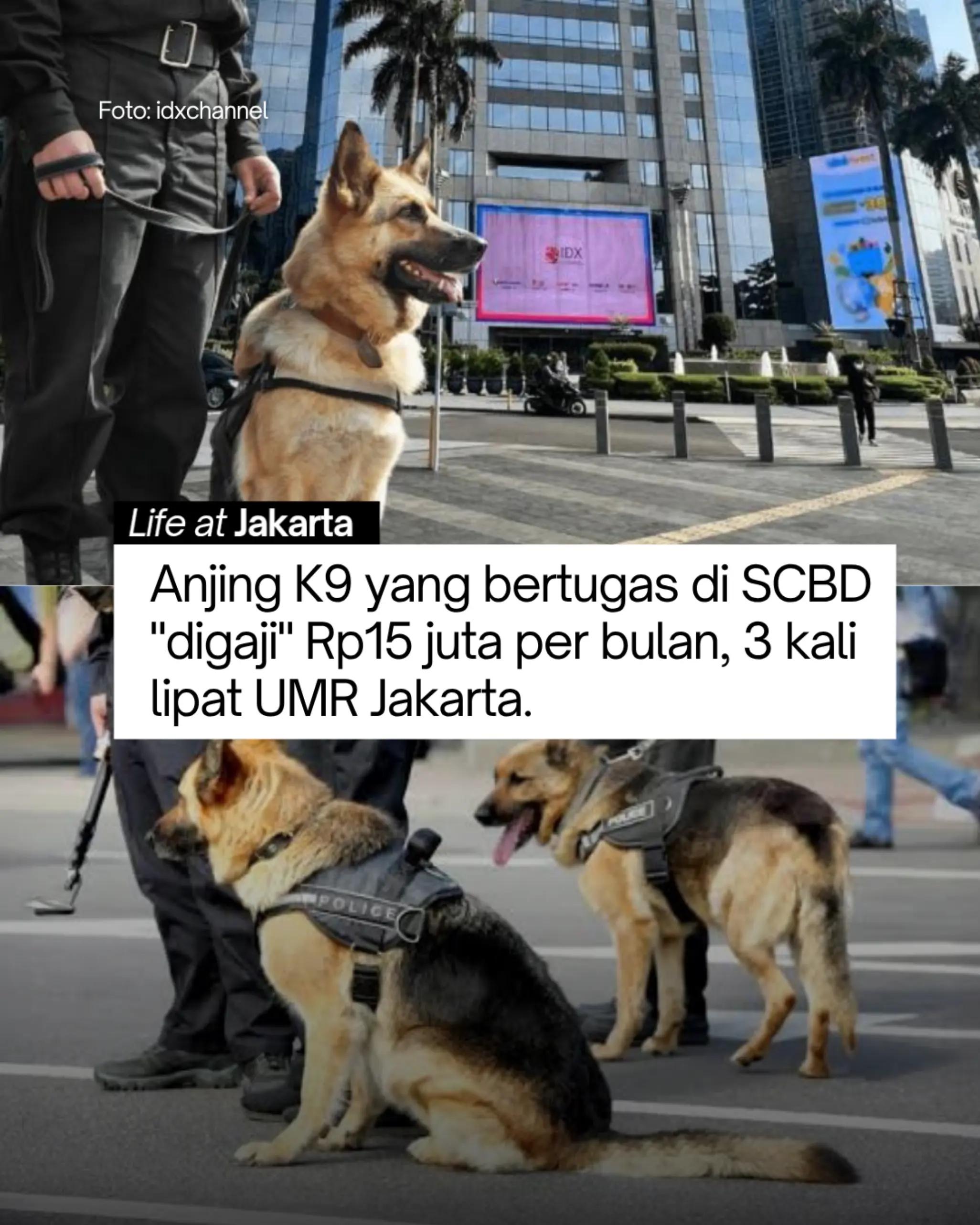 @lifeat_jakarta