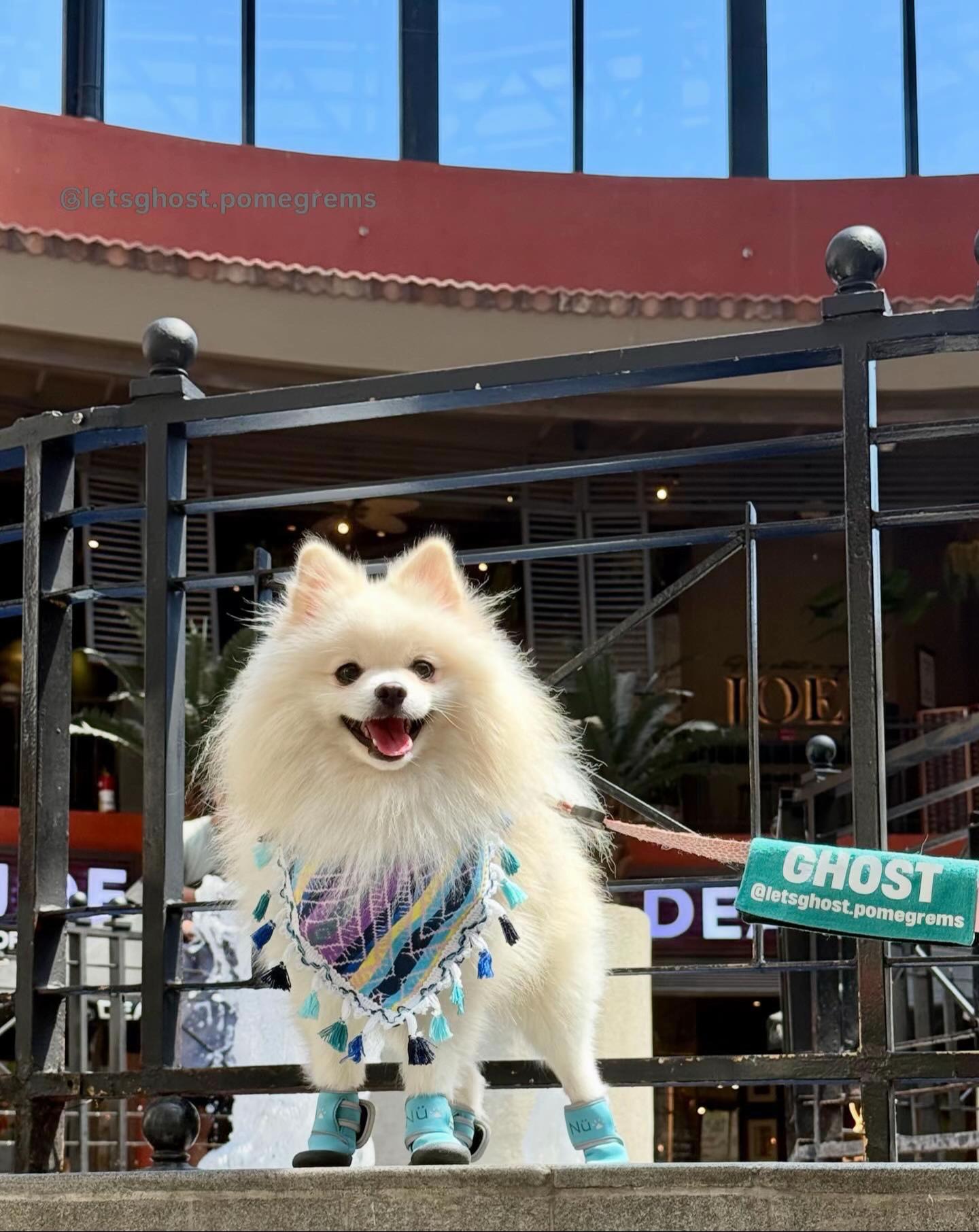 @G H O S T TheRunnerPom