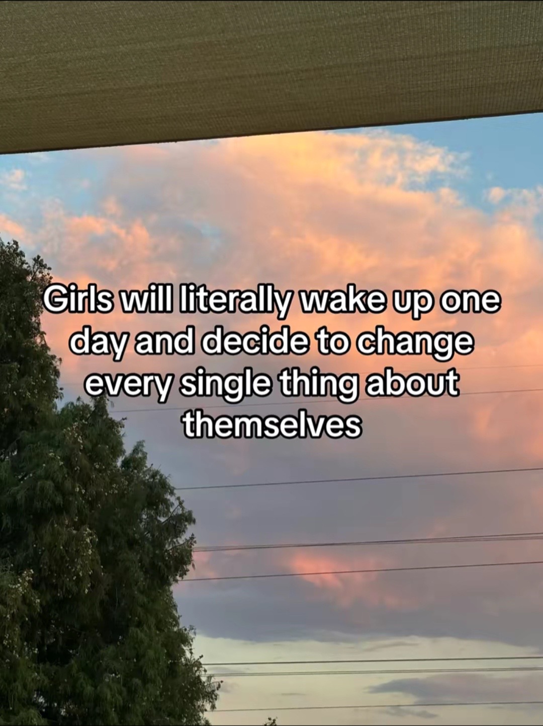 @Wildly.Eclectic