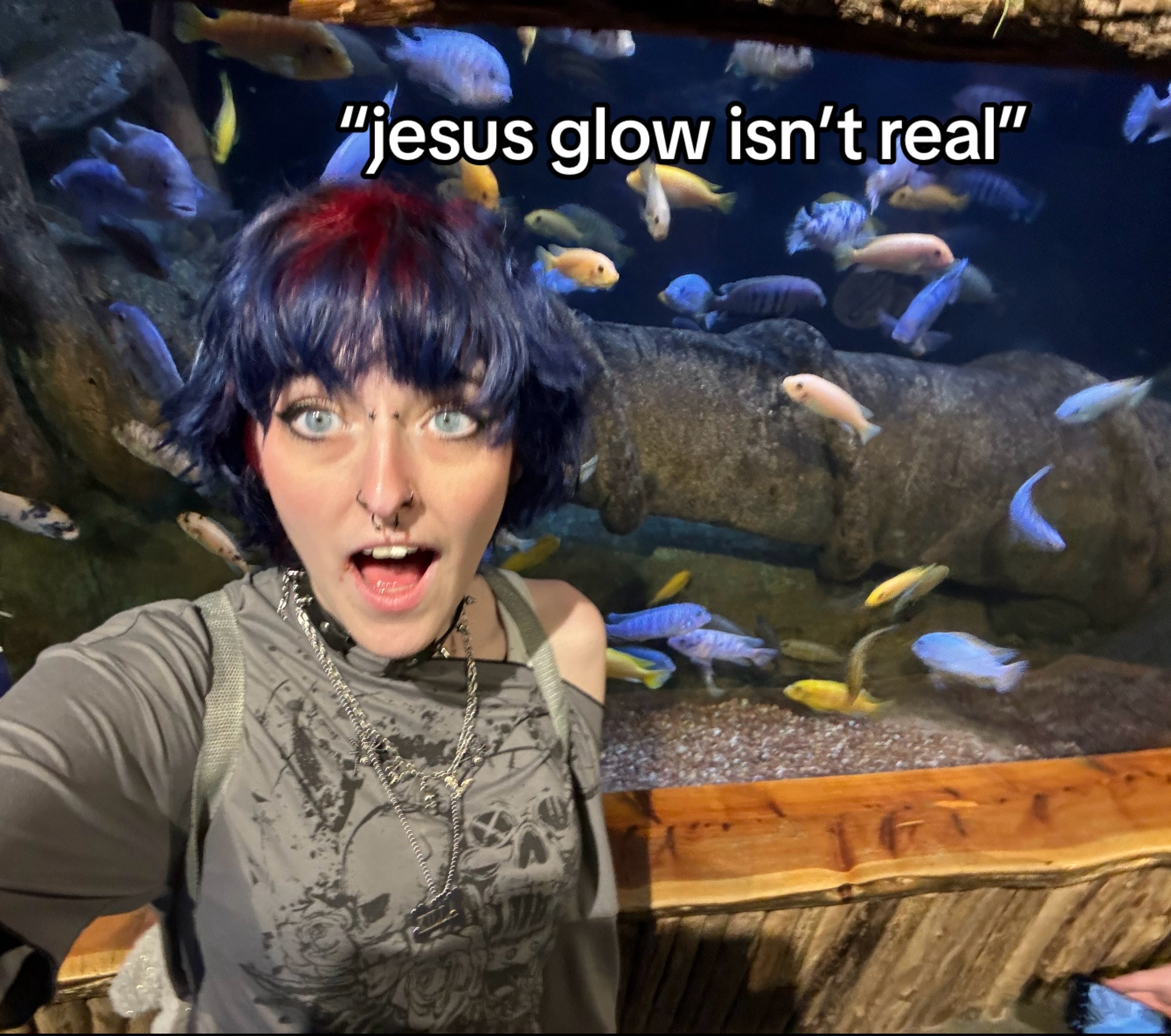 @perseus; undead !