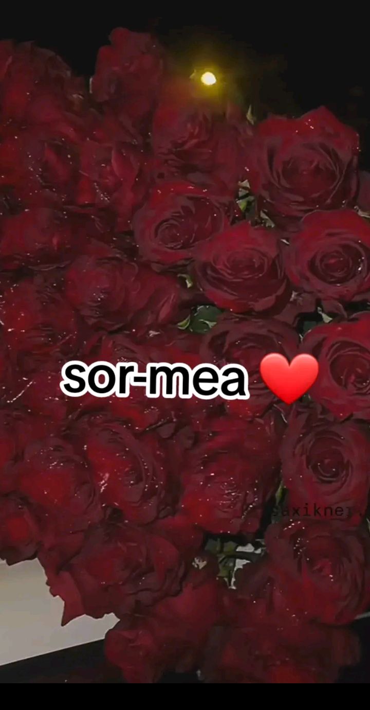 @Ana_rsv💖