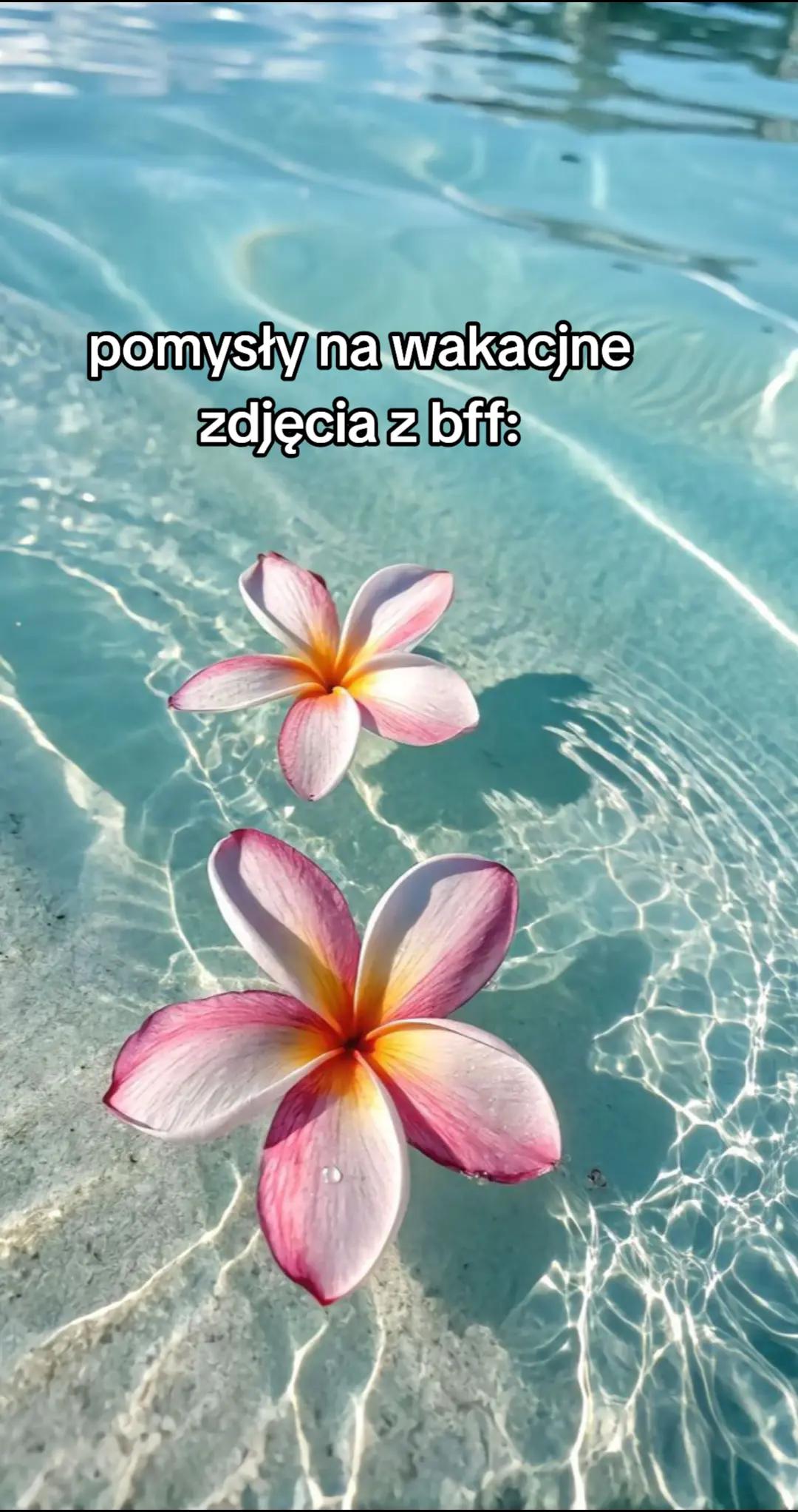 @🌸🌺🌼pintereścianka🌸🌺🌼