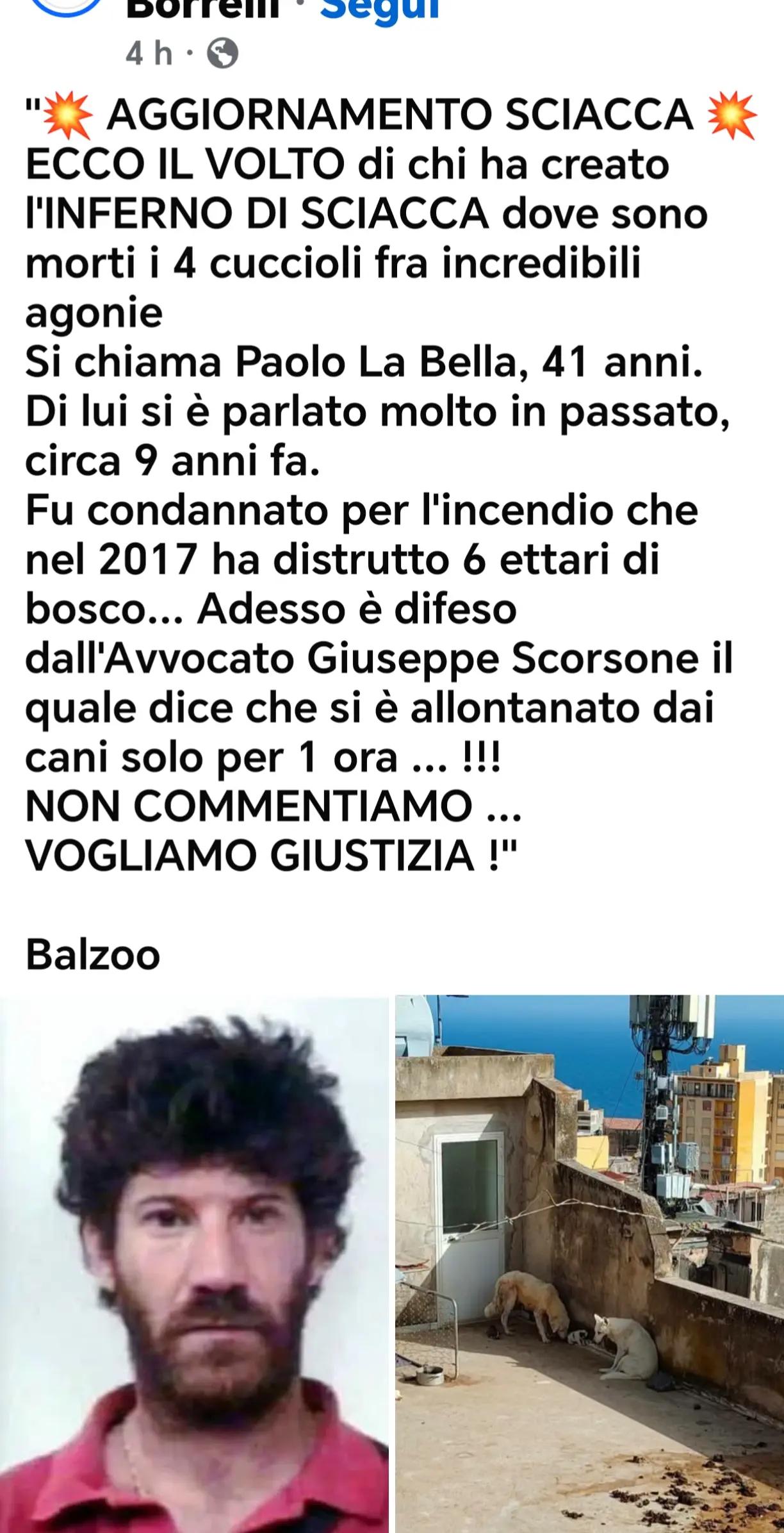 @GLI Sgomberi DI Monica paderi