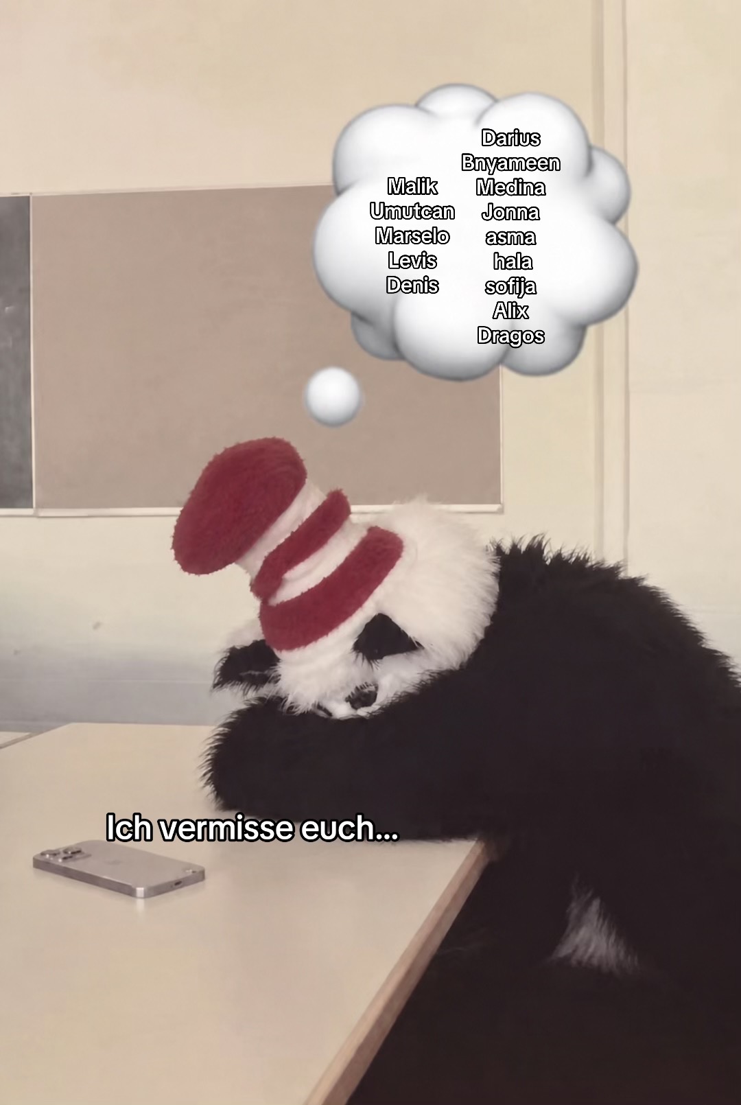 @catinthehathamm