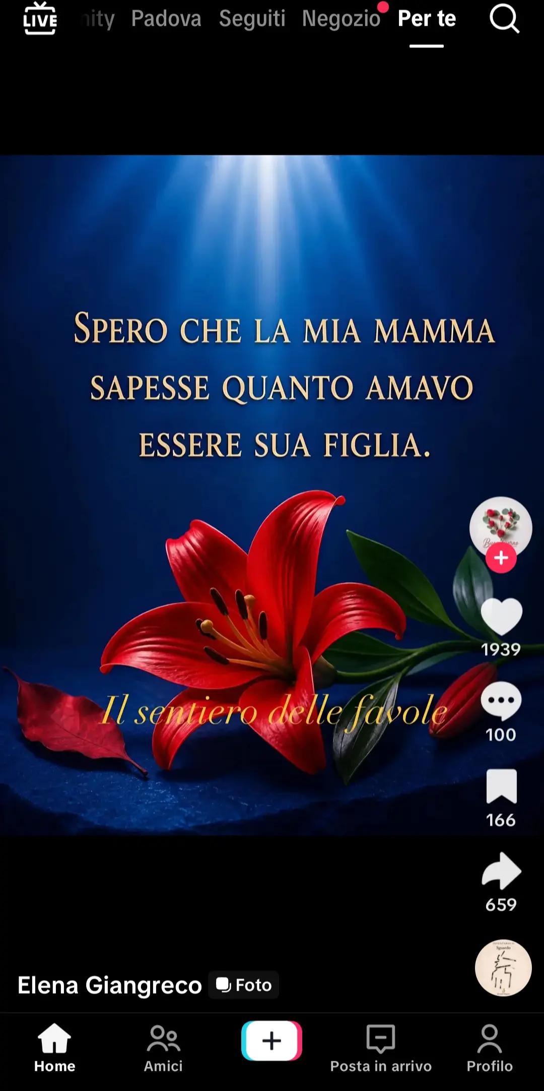 @anna andretta