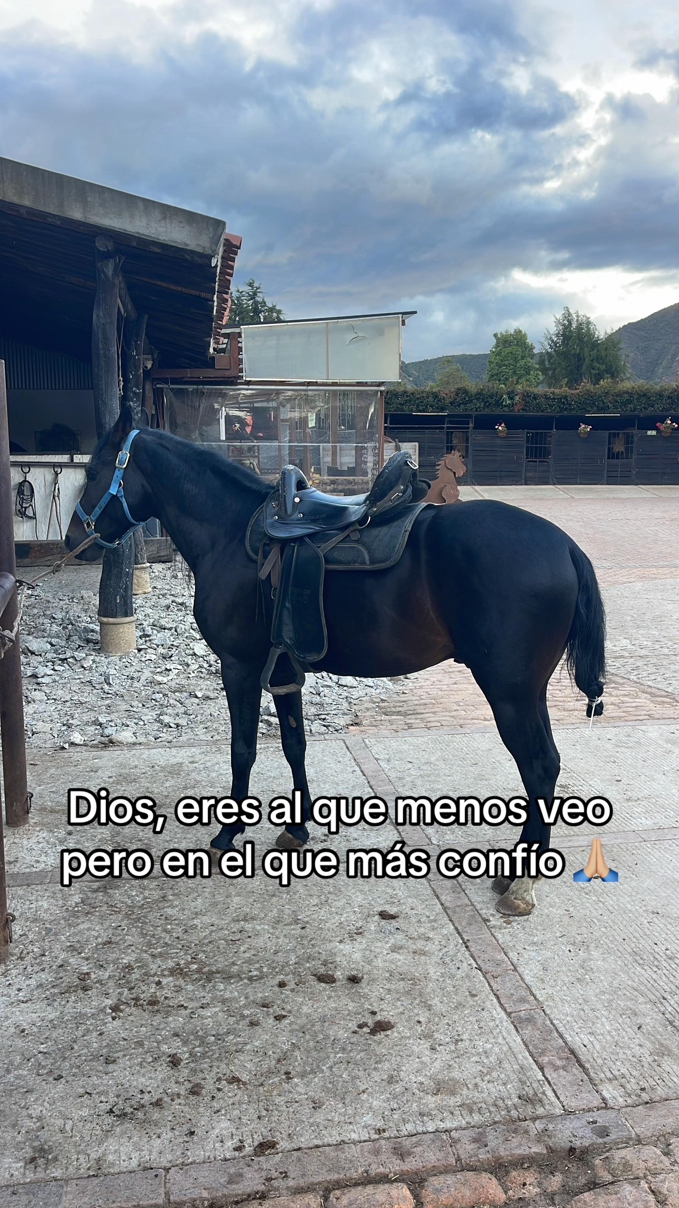 @Juan Rodríguez 🐄
