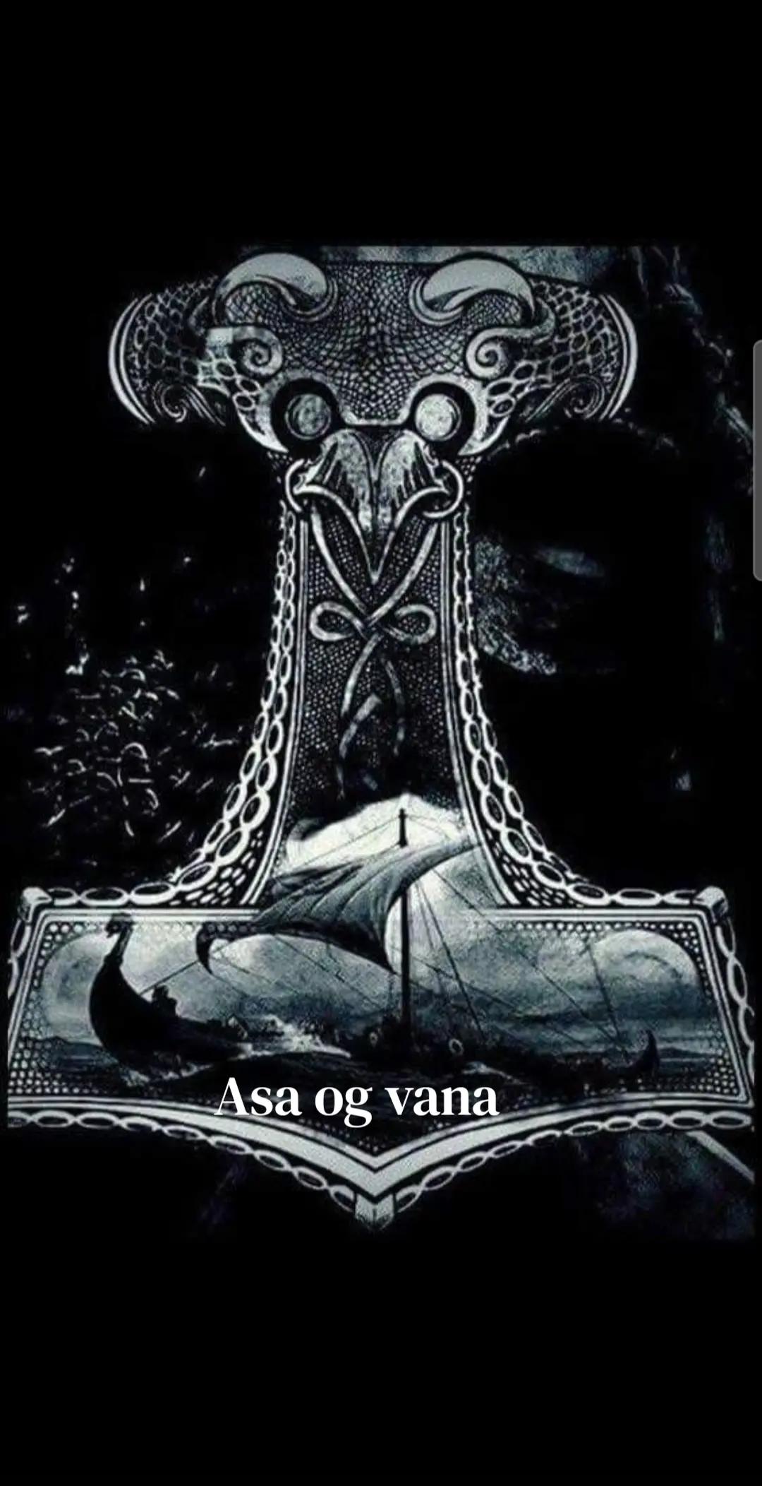 @Old man Berserker🪓Úlfheđnar