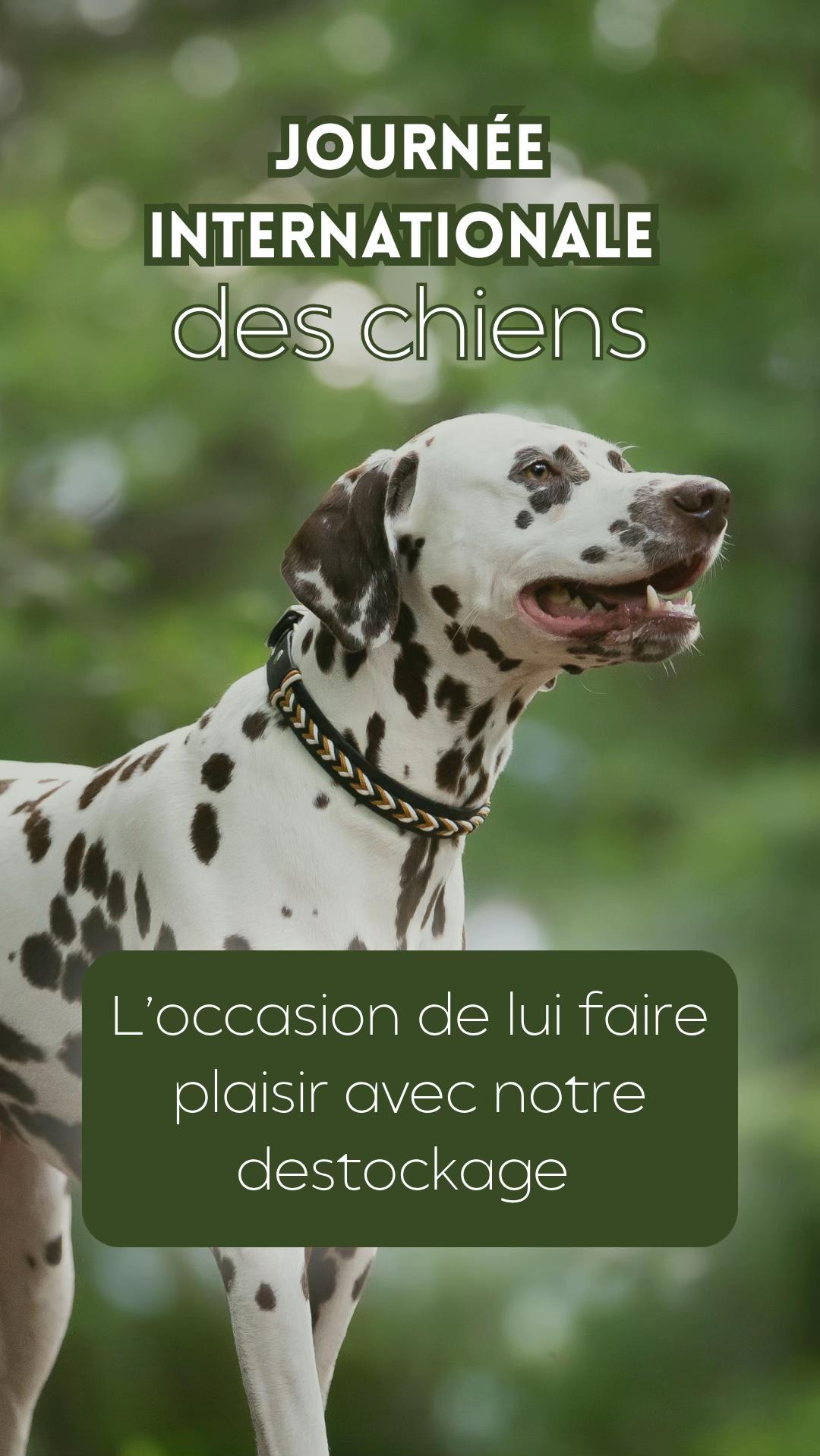 @Autour du Cheval