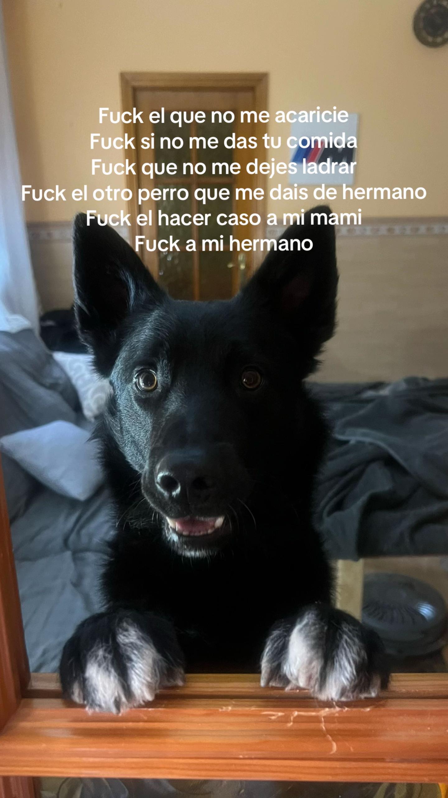 @luusii🎀