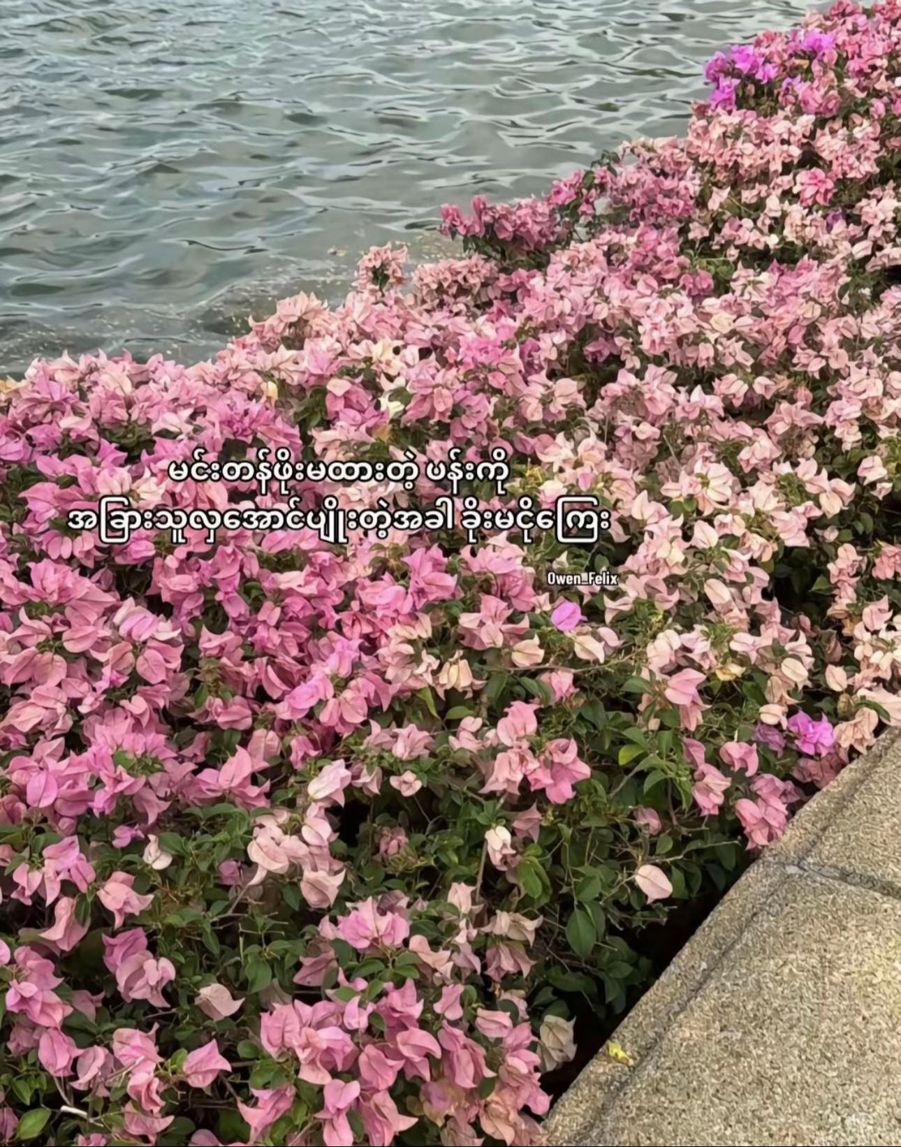@Y 🎀