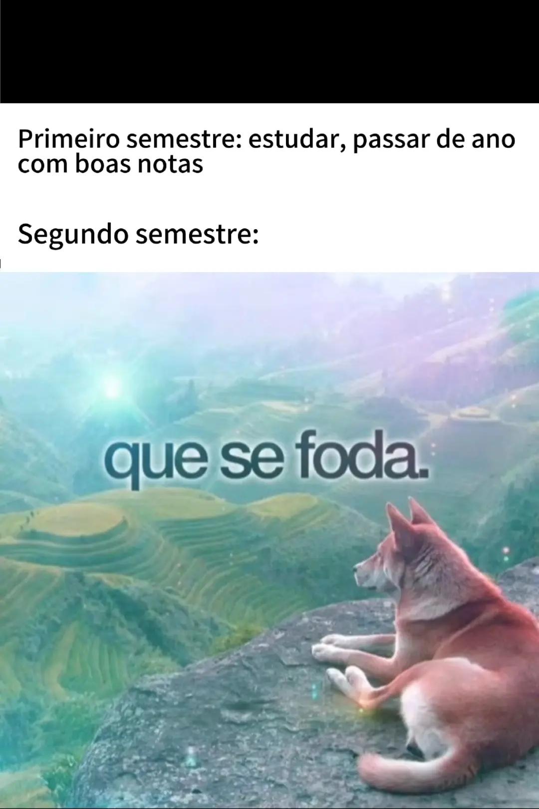 @sfe_ymf