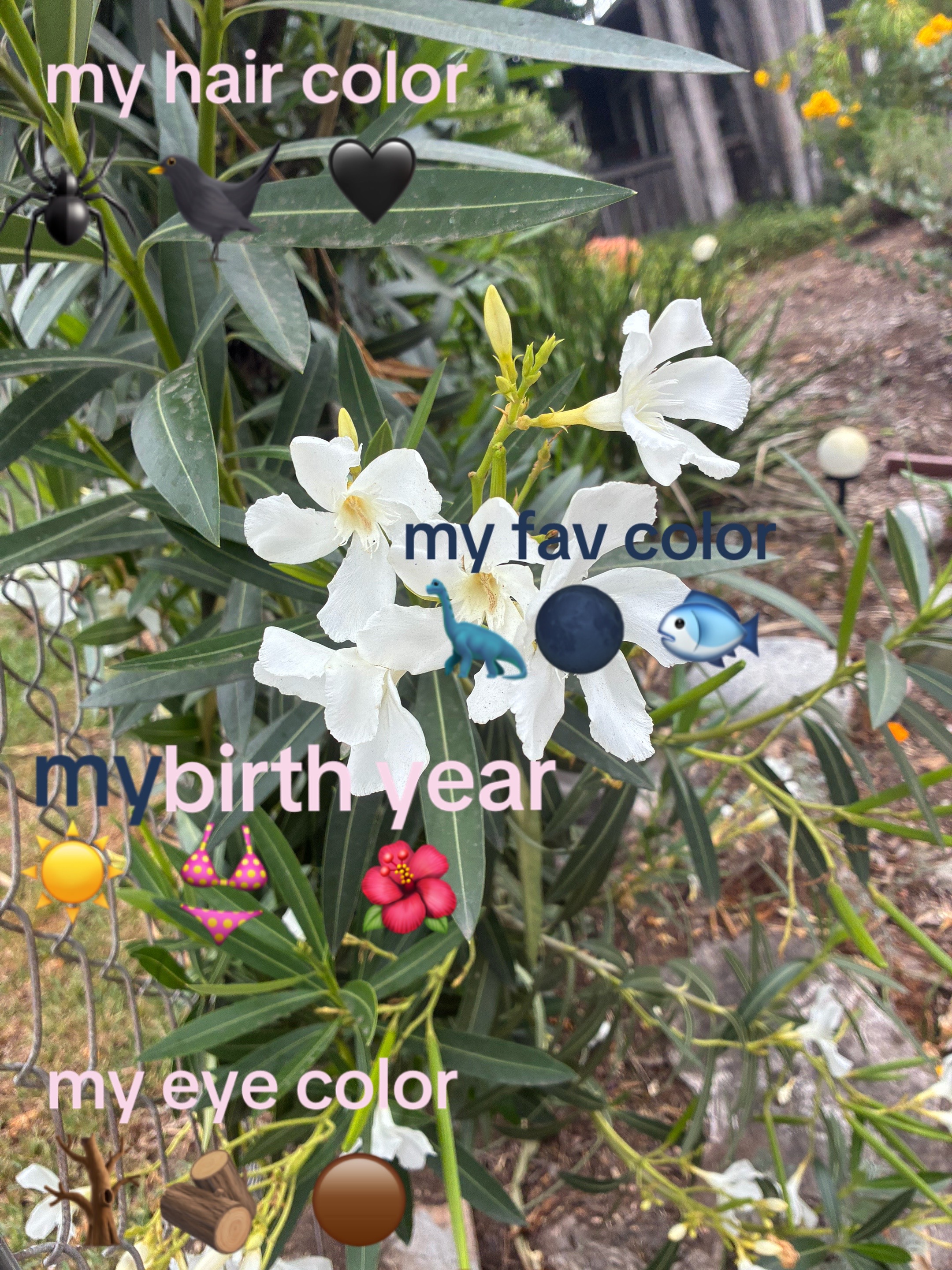 @JAZZYYYY