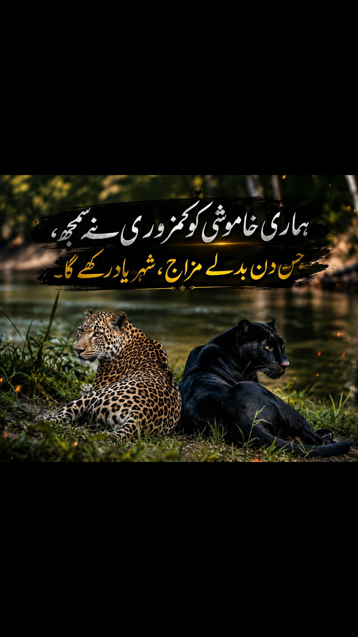 @Talhat Hussain