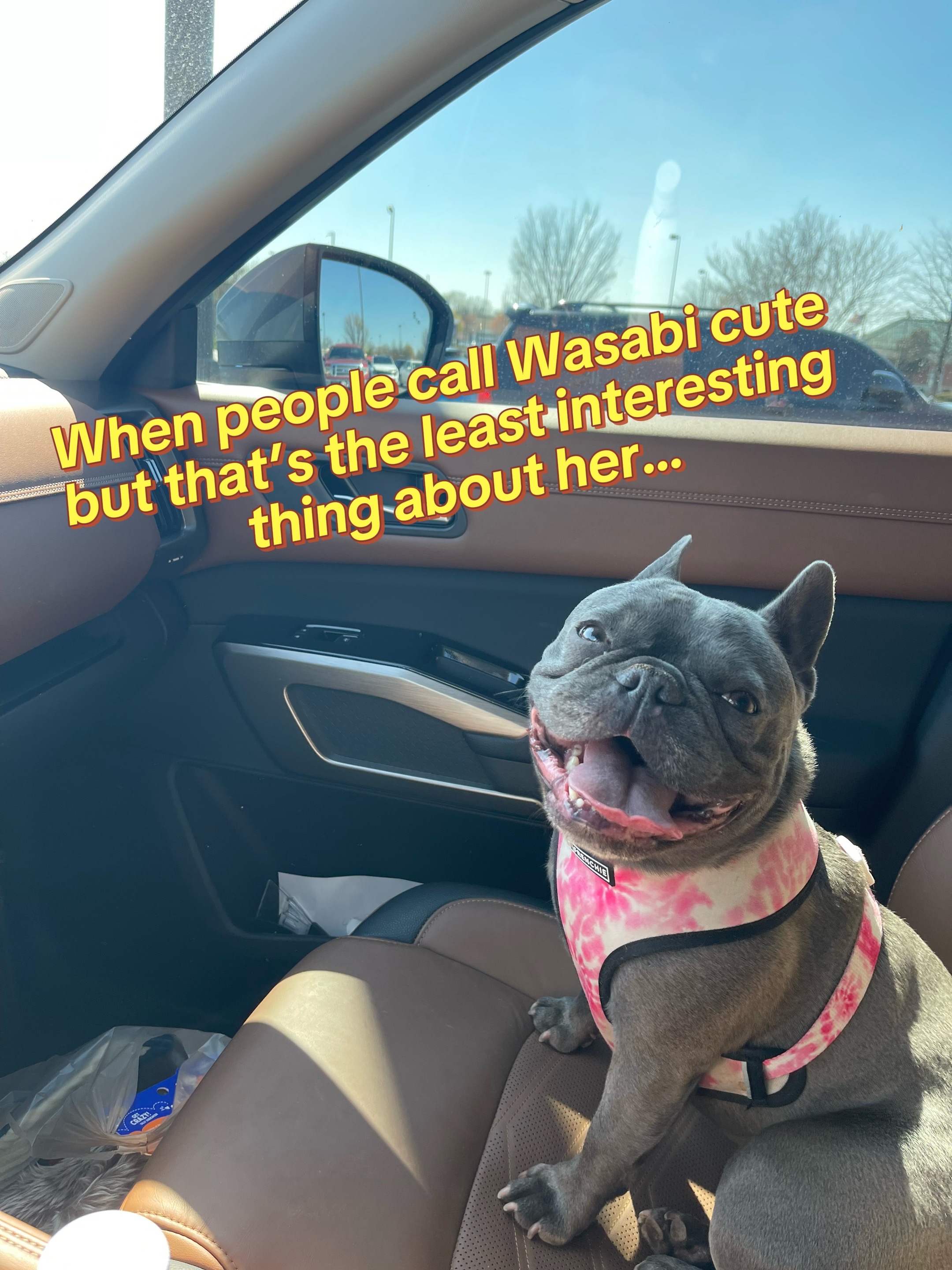 @macleanlessenberry