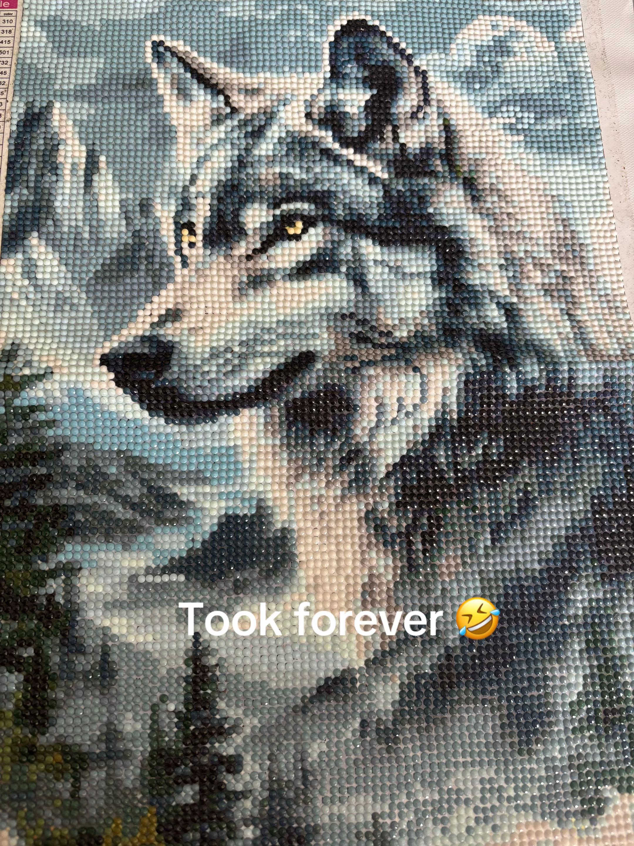 @Alana🧡
