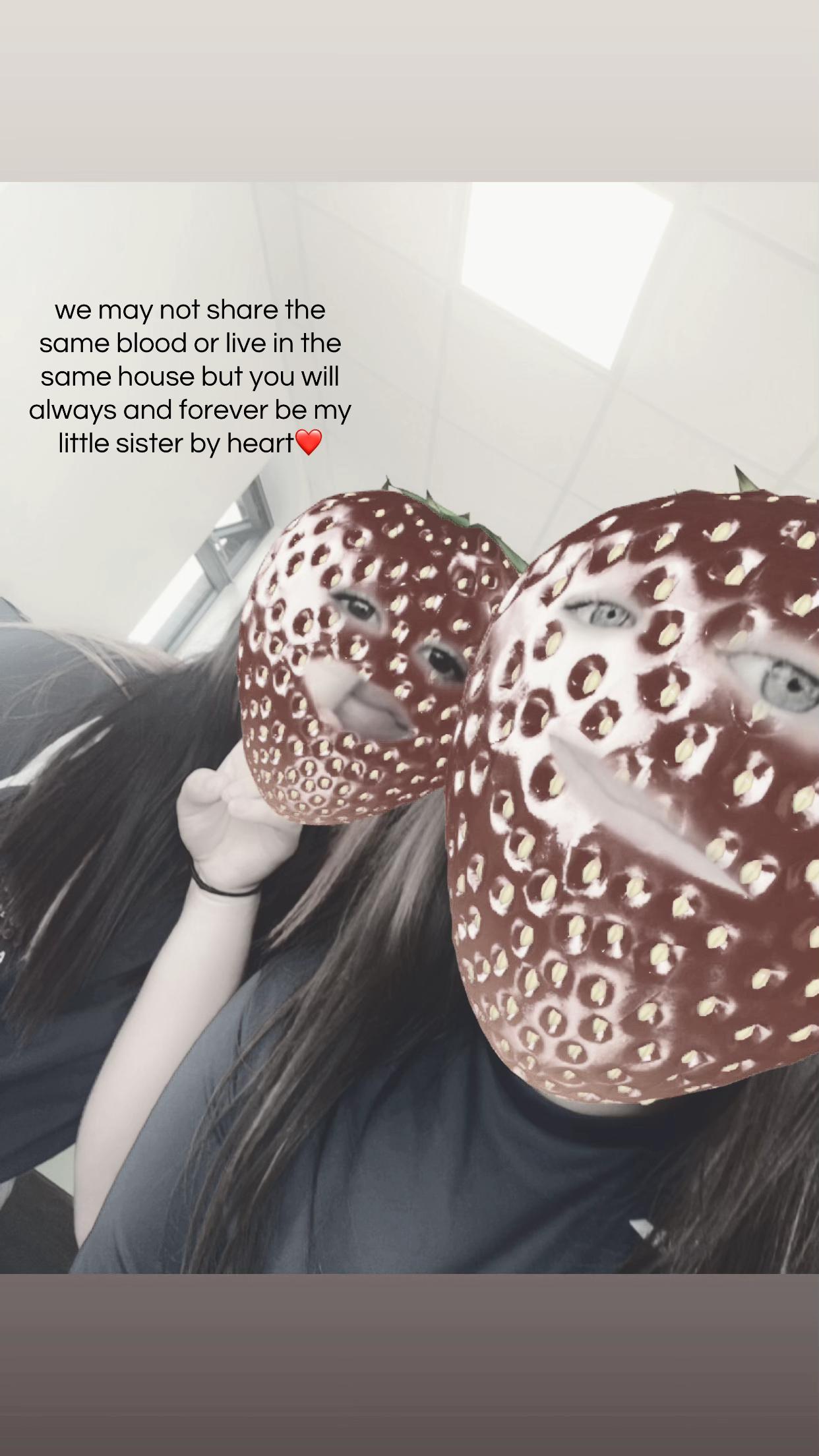 @๐๐๐๐ค