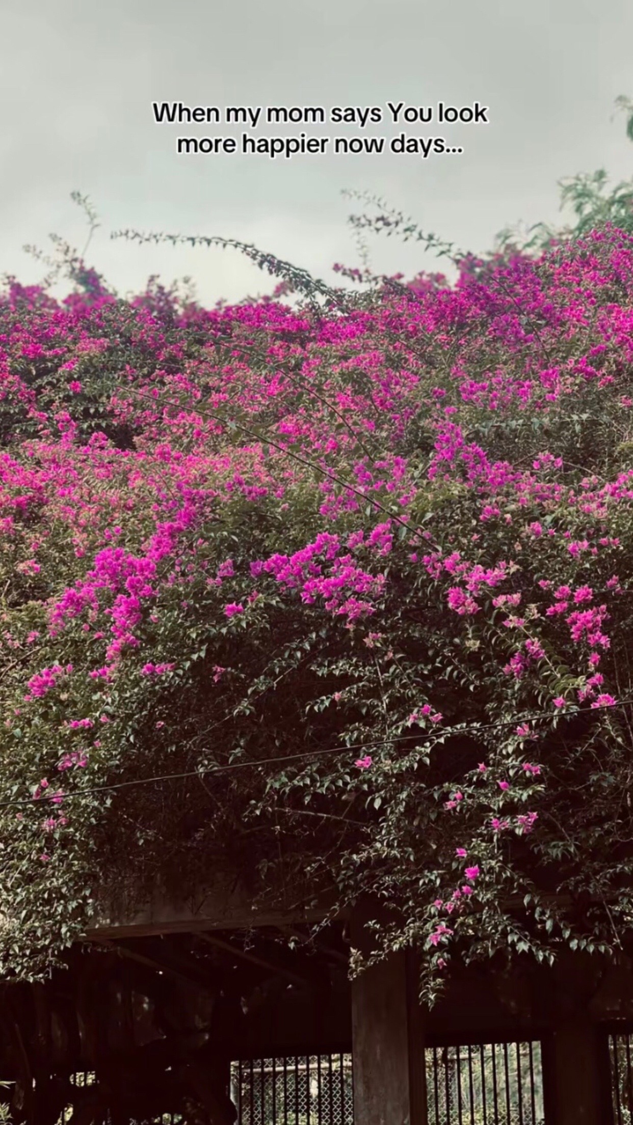 @Rف 🧿💗