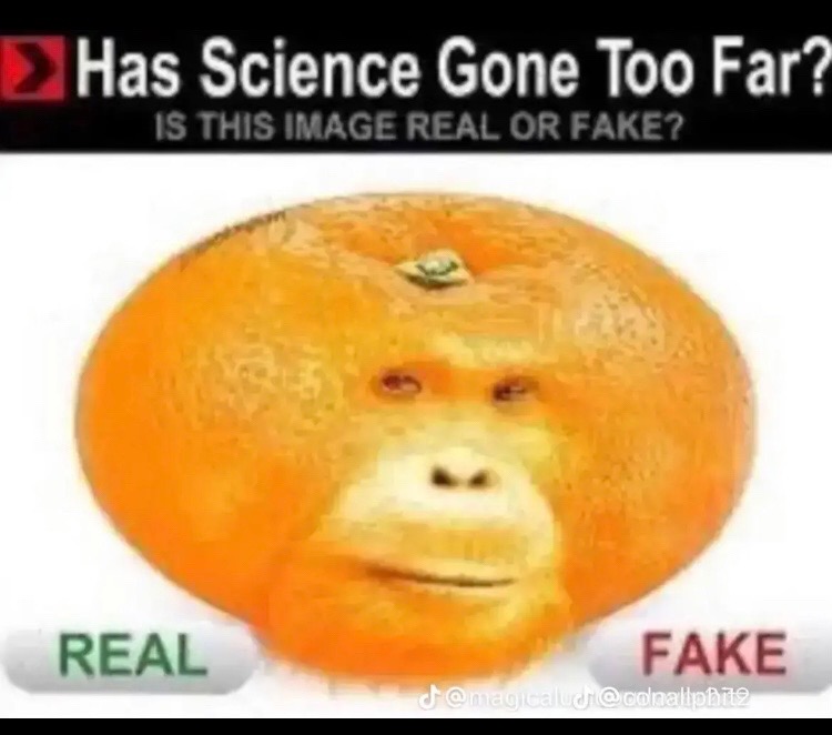 @trapo1316