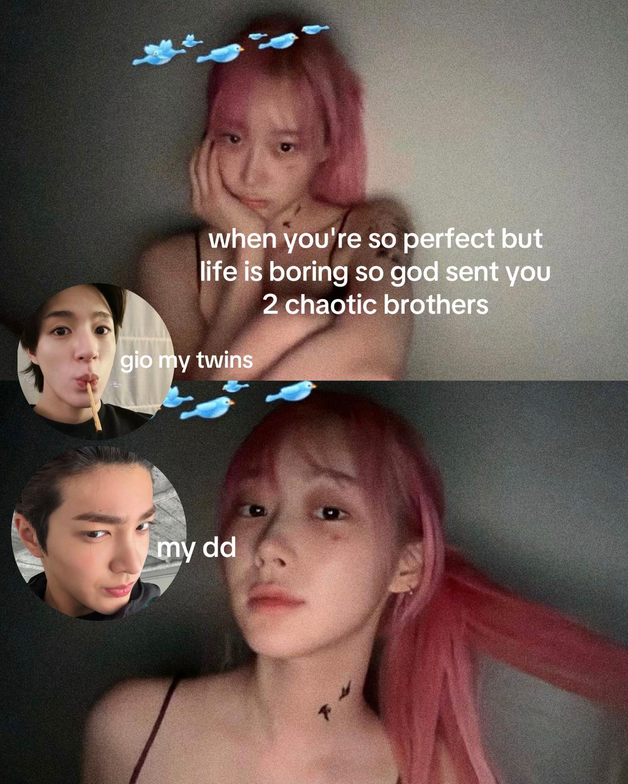 @chogiwabbois