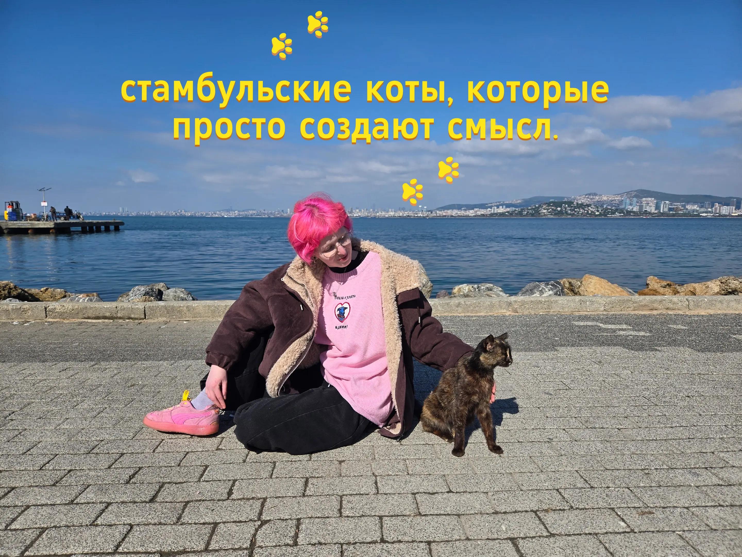 @(сан саныч)