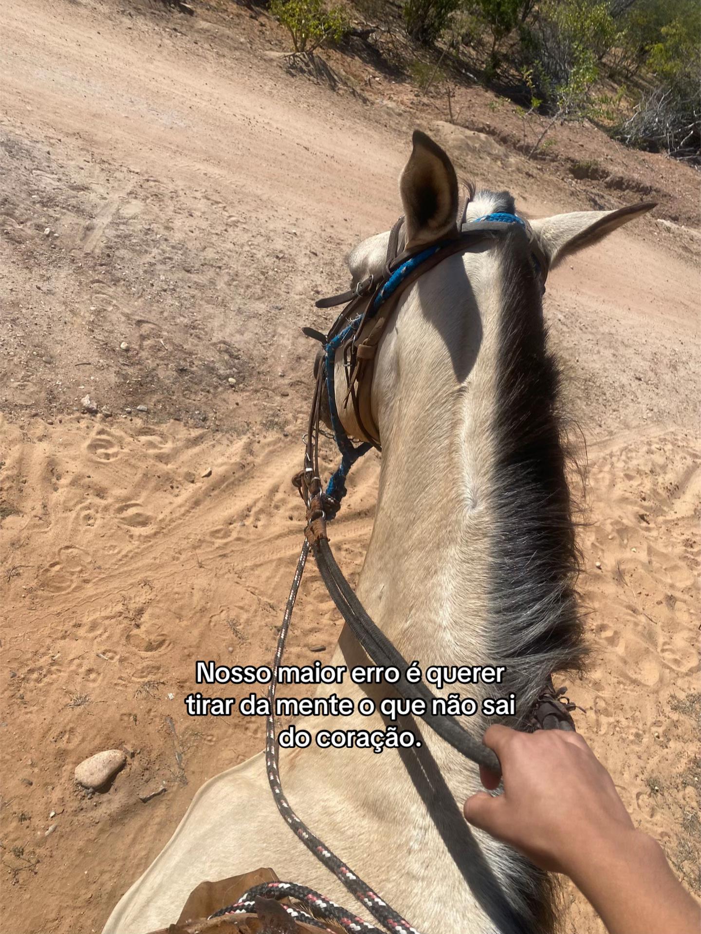 @𝑯𝒆𝒍𝒐