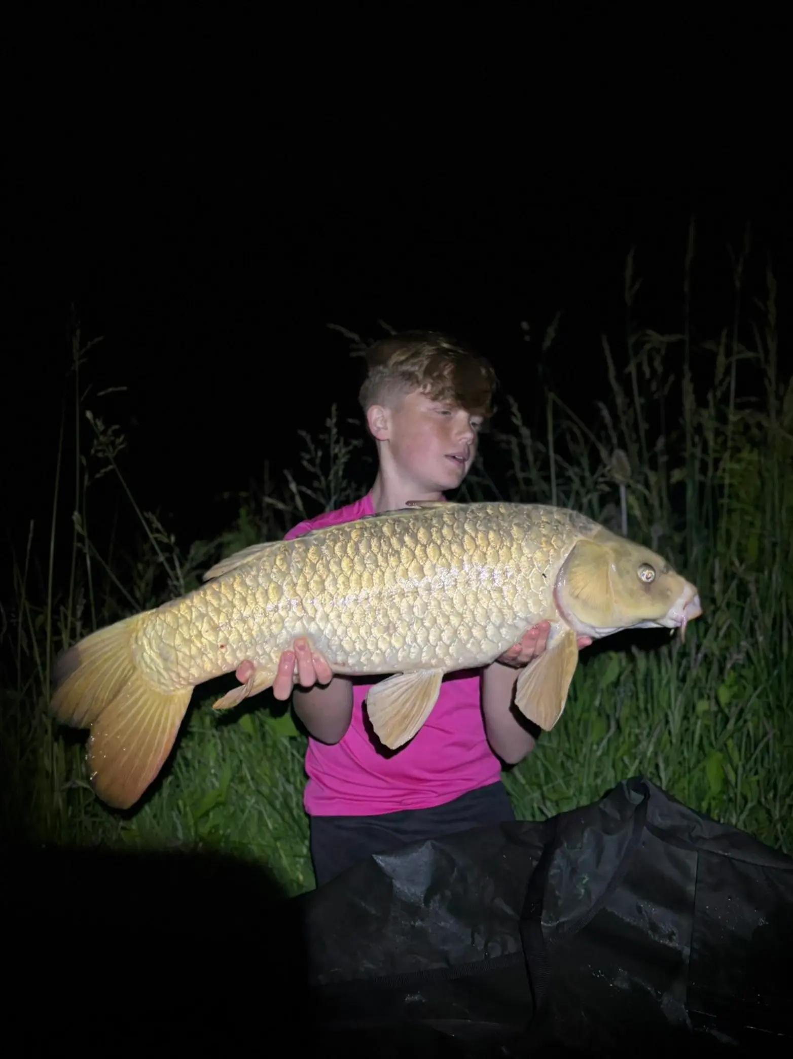 @Carpy Brez
