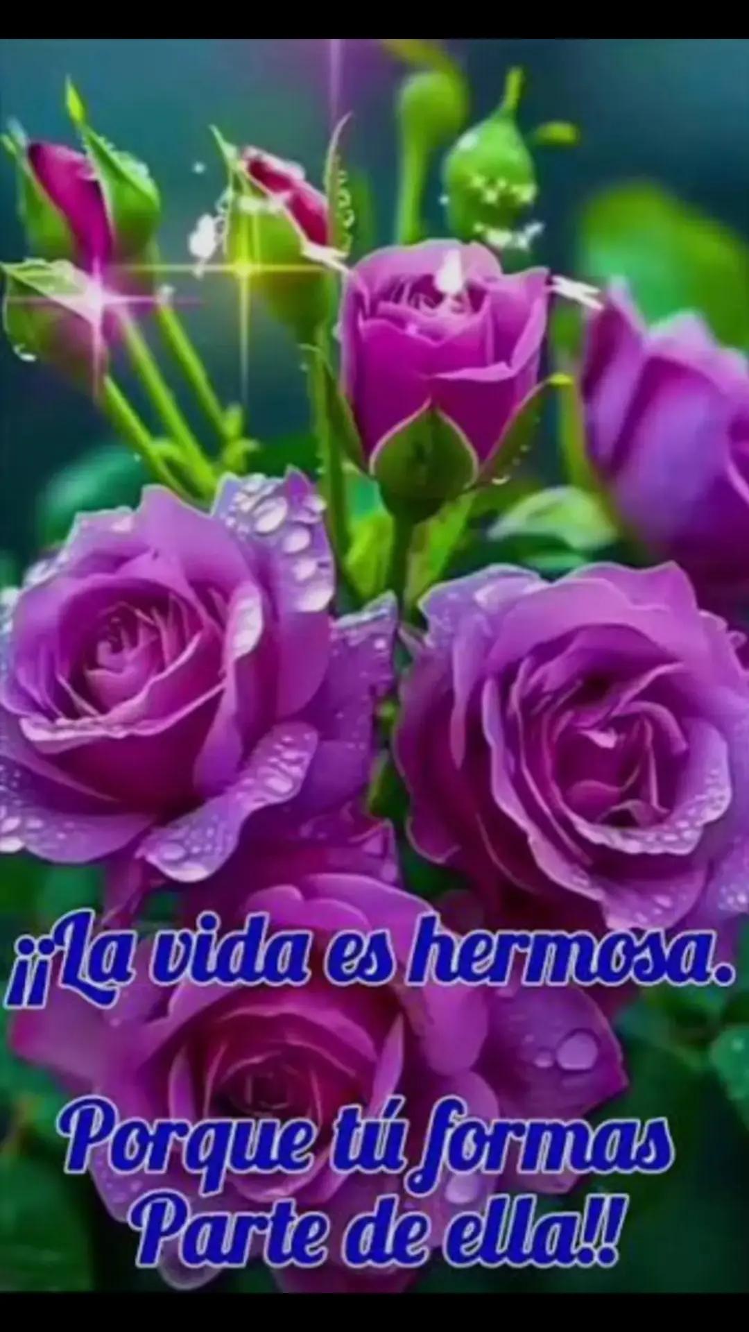 @Manu