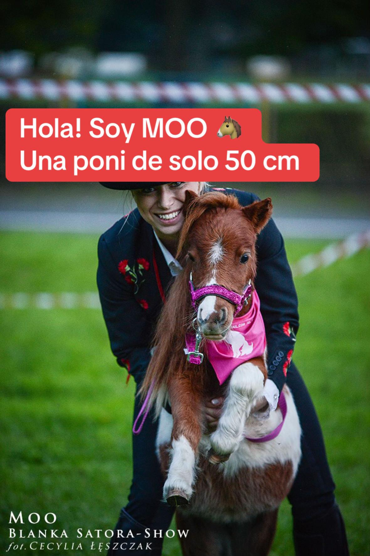 @Blanka Satora