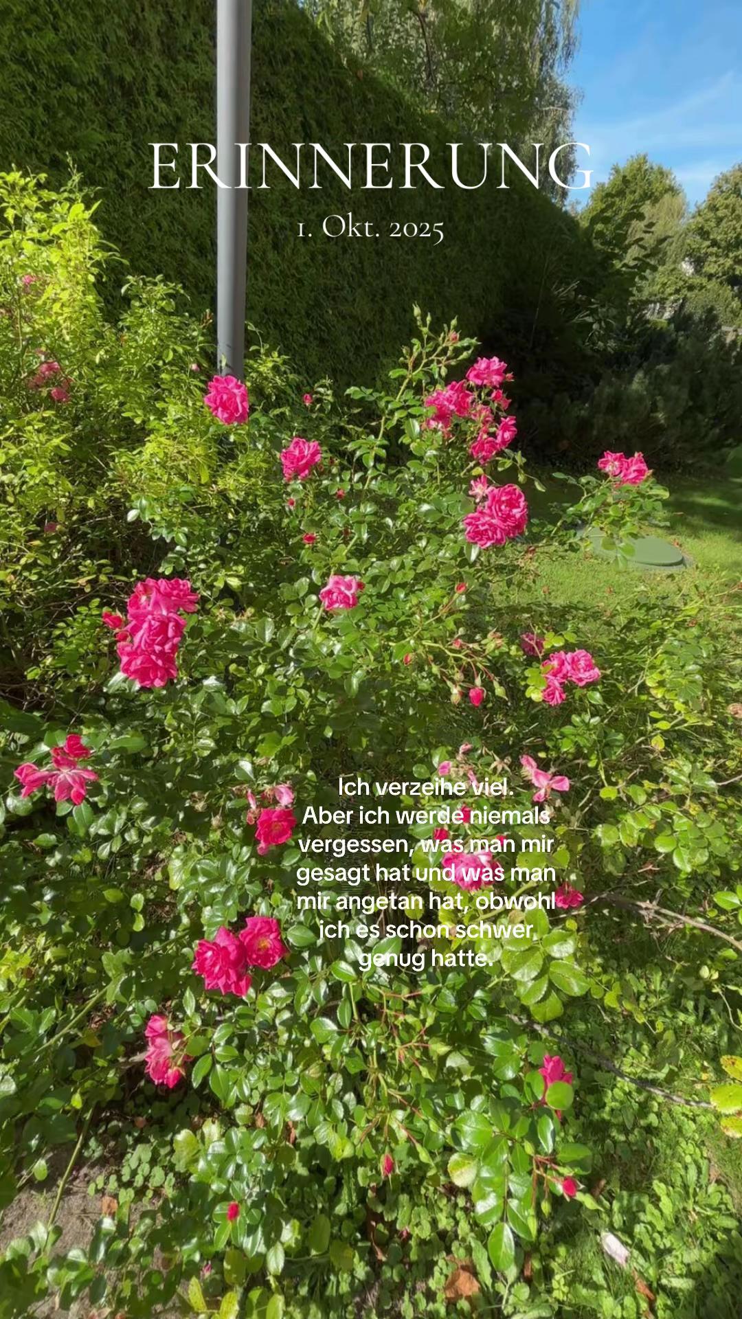 @Beccy🦋۶ৎ