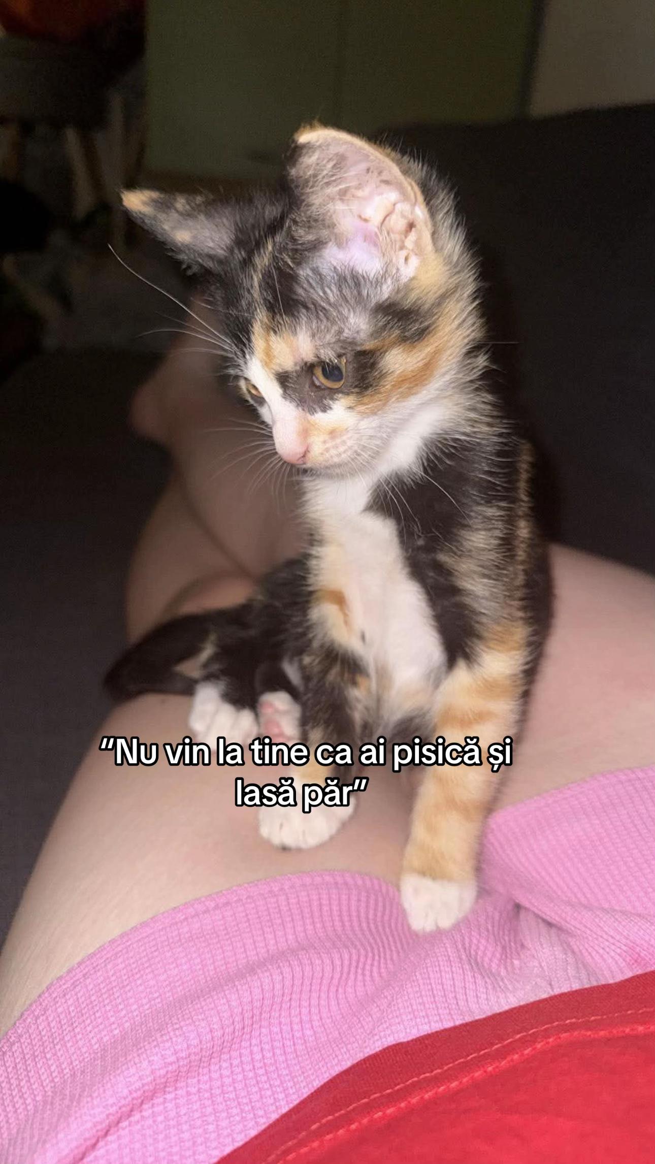 @M.Adina23🍀