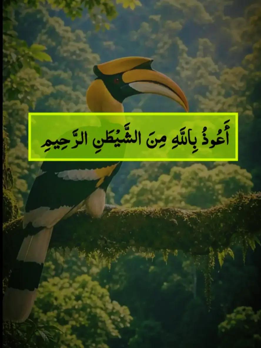 @@islamicvideotiktok341