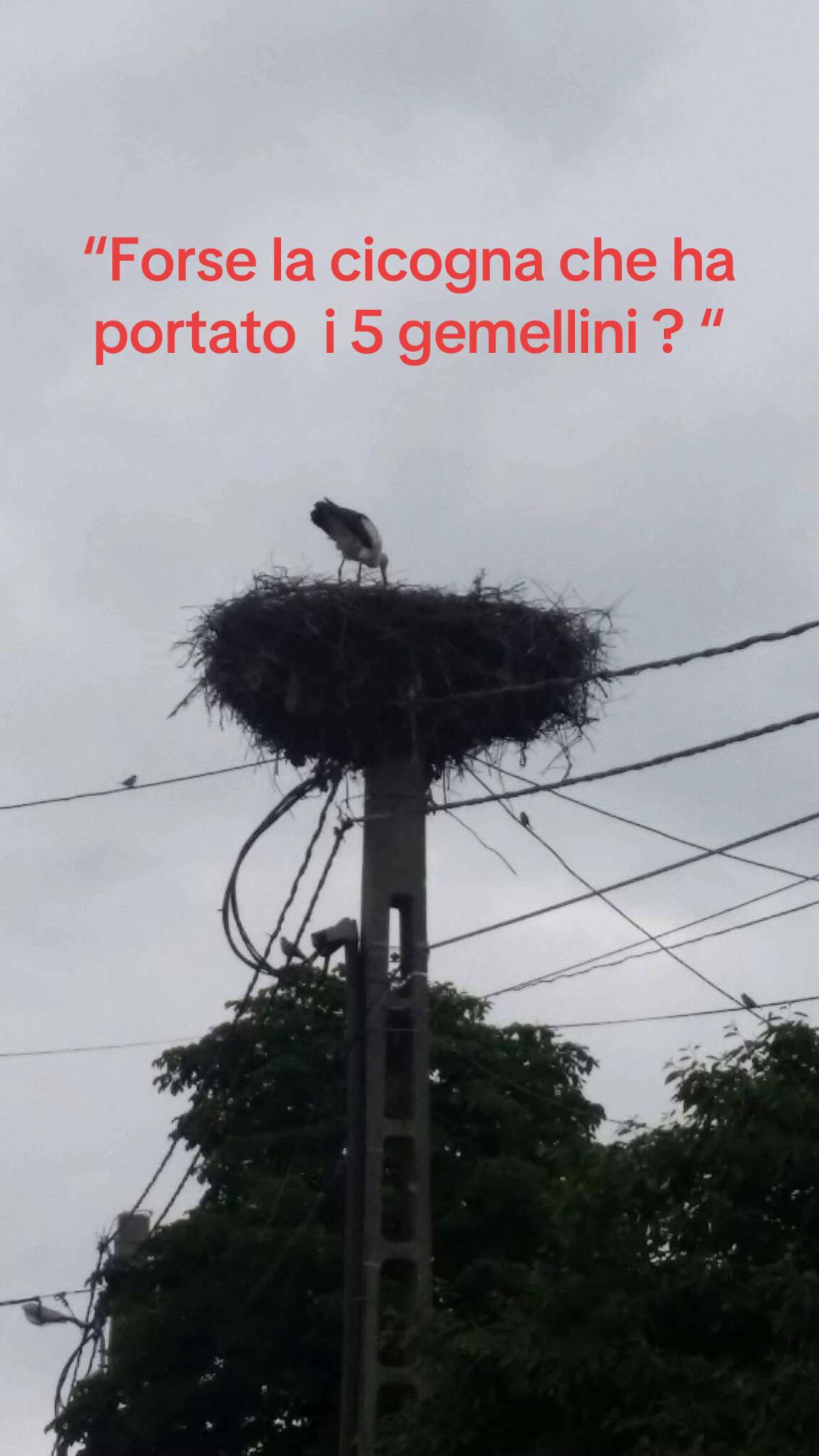 @massimostramassimo