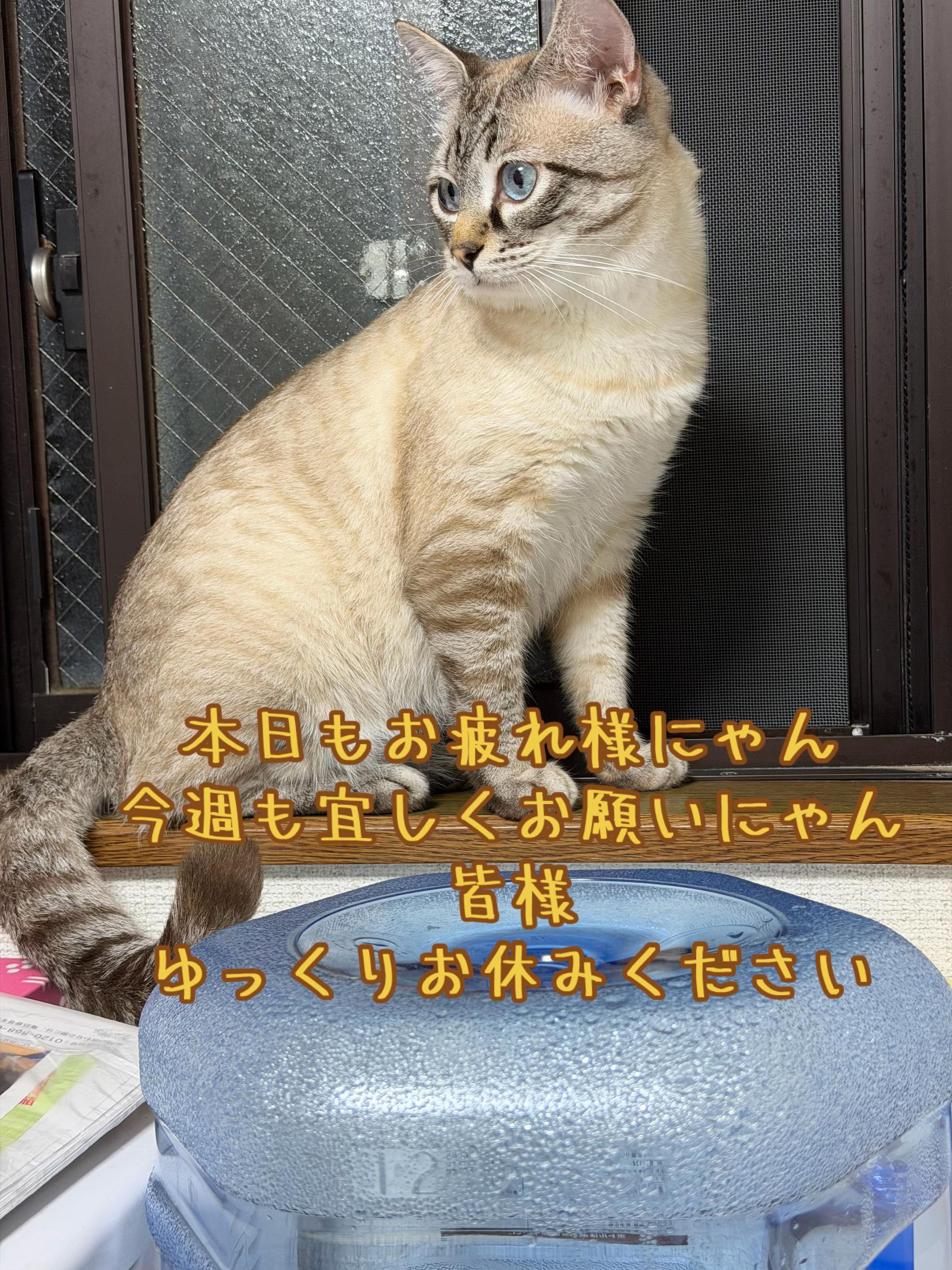 @ð¥é»æŸ€æ£å¿ð¥