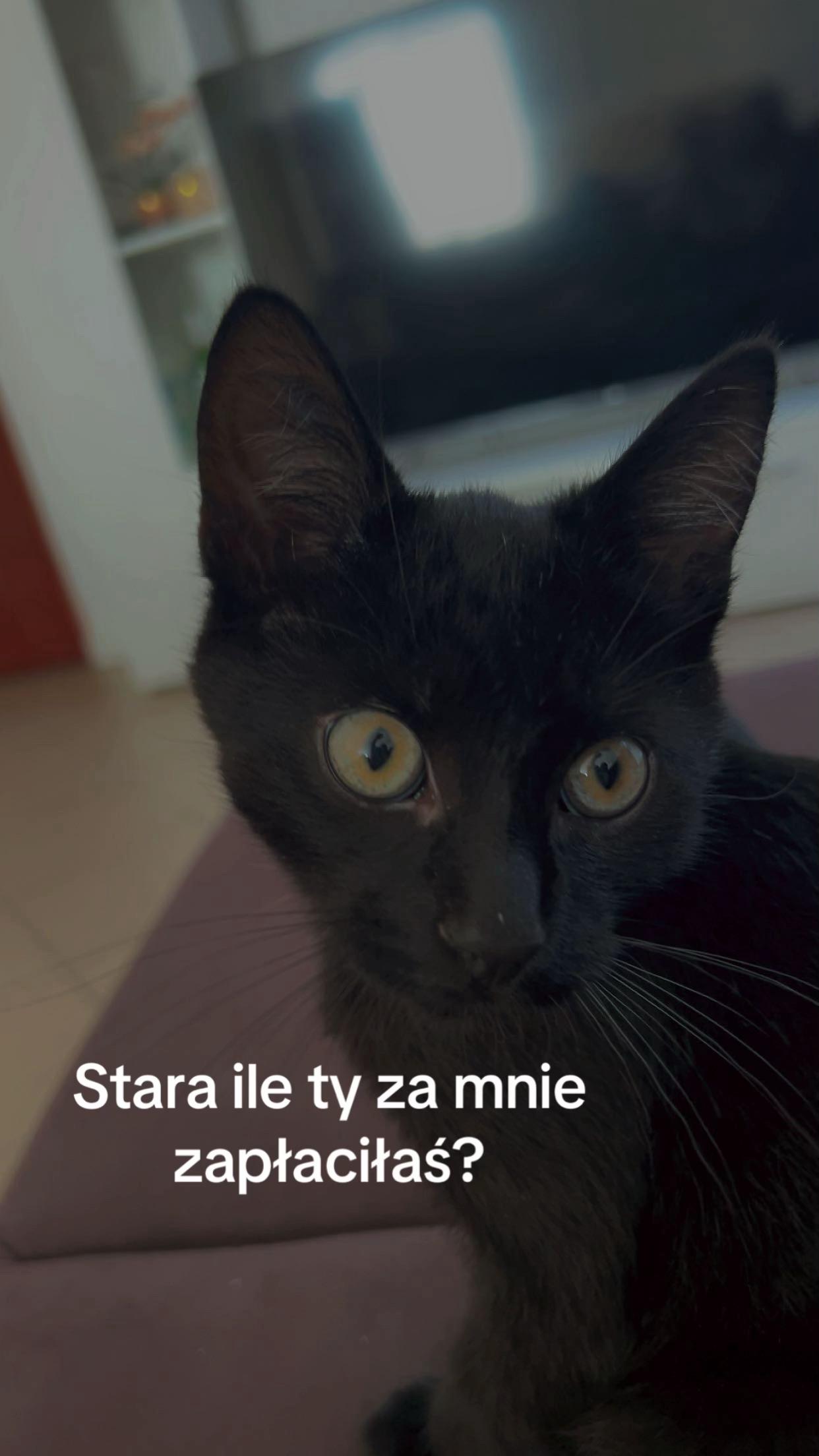 @Victoriasss