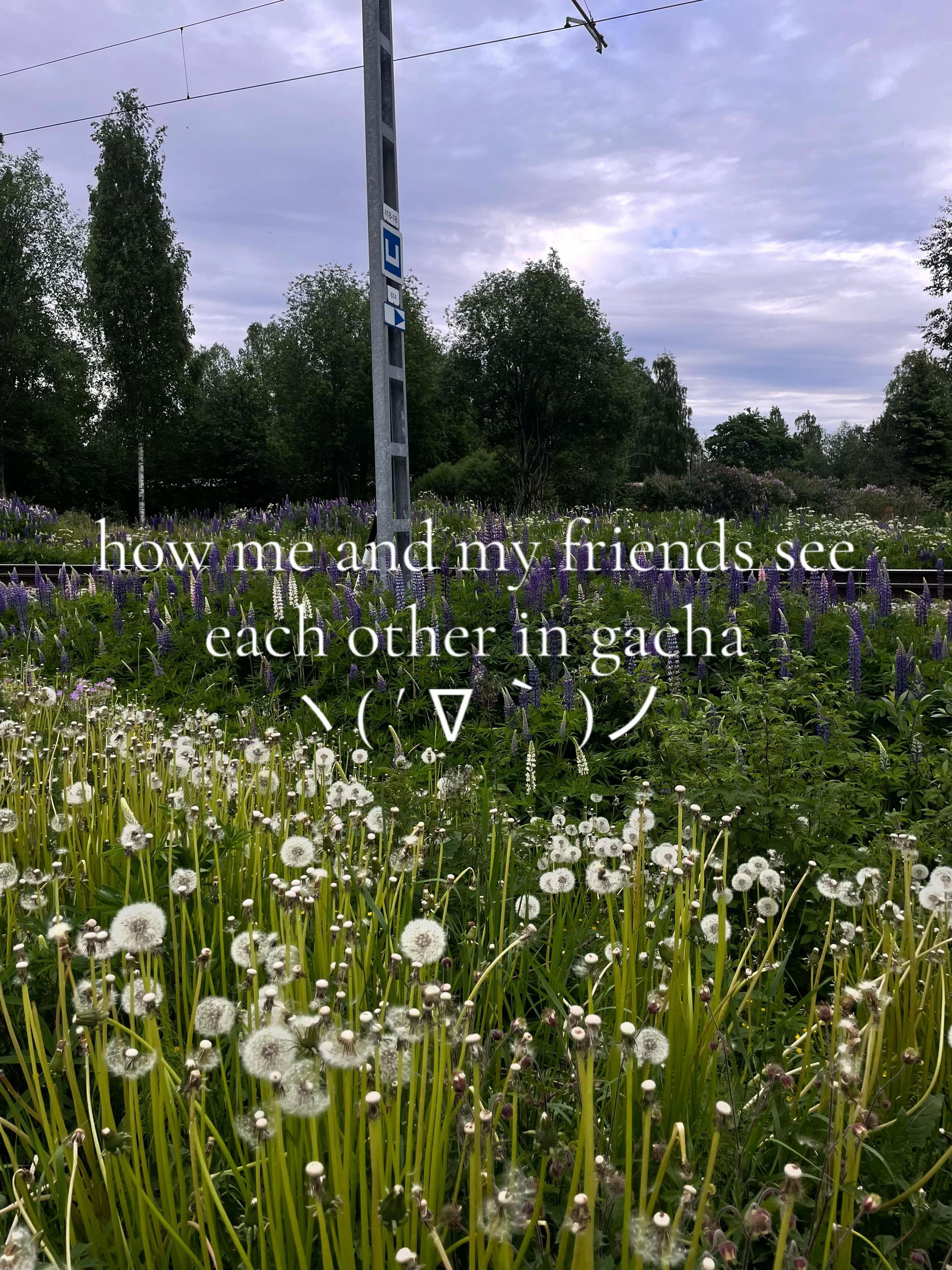 @𝘏iroshi