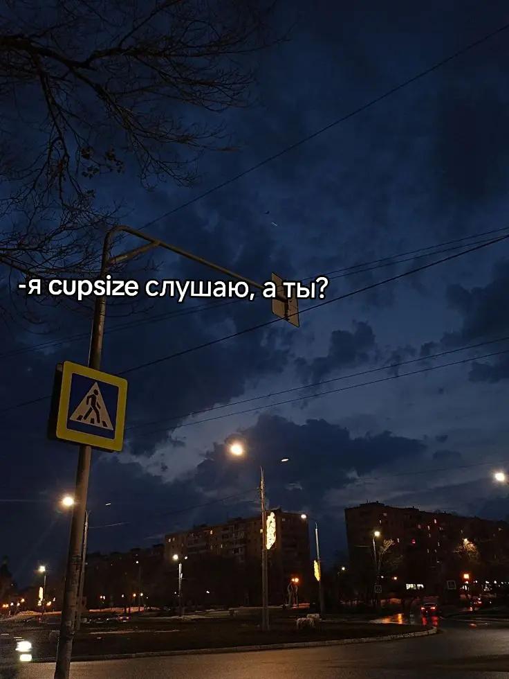 @тошинория орих☑️||CURSIVIS
