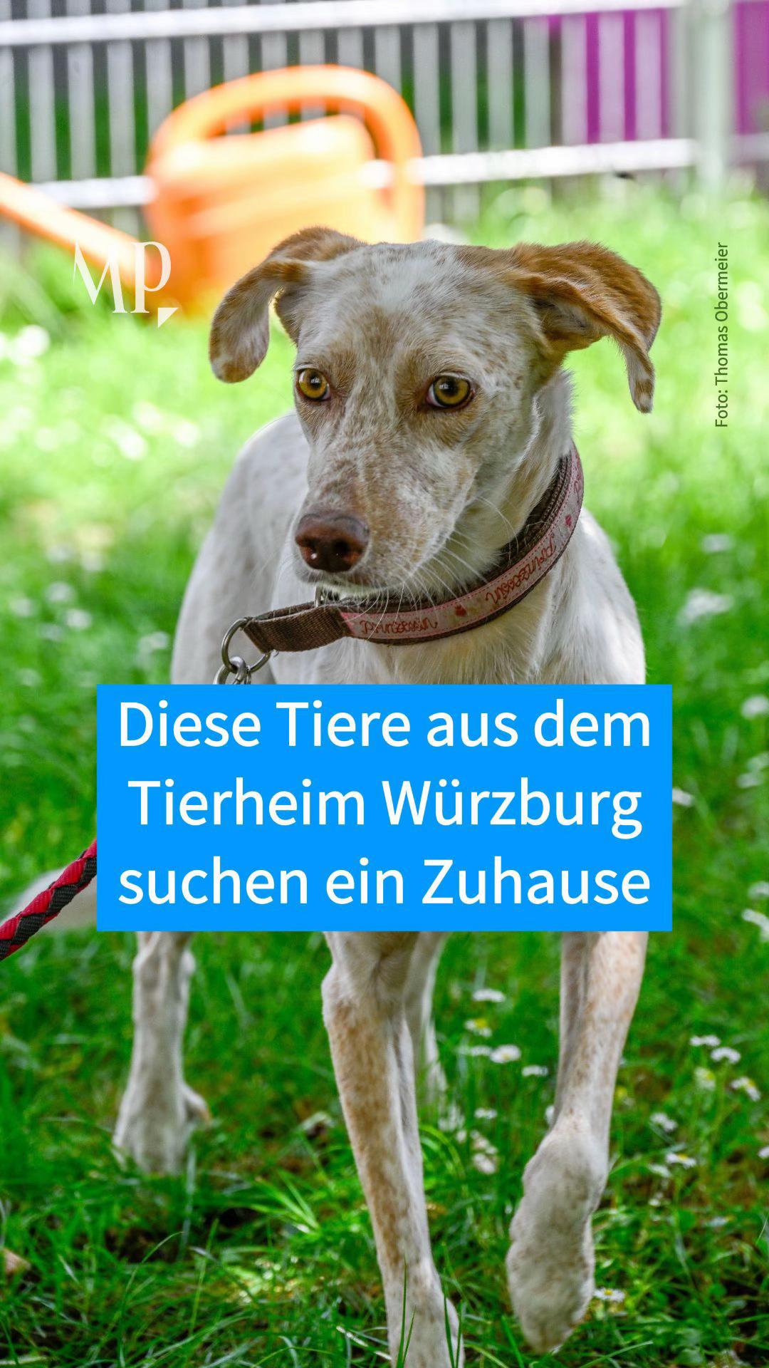 @mainpost.de